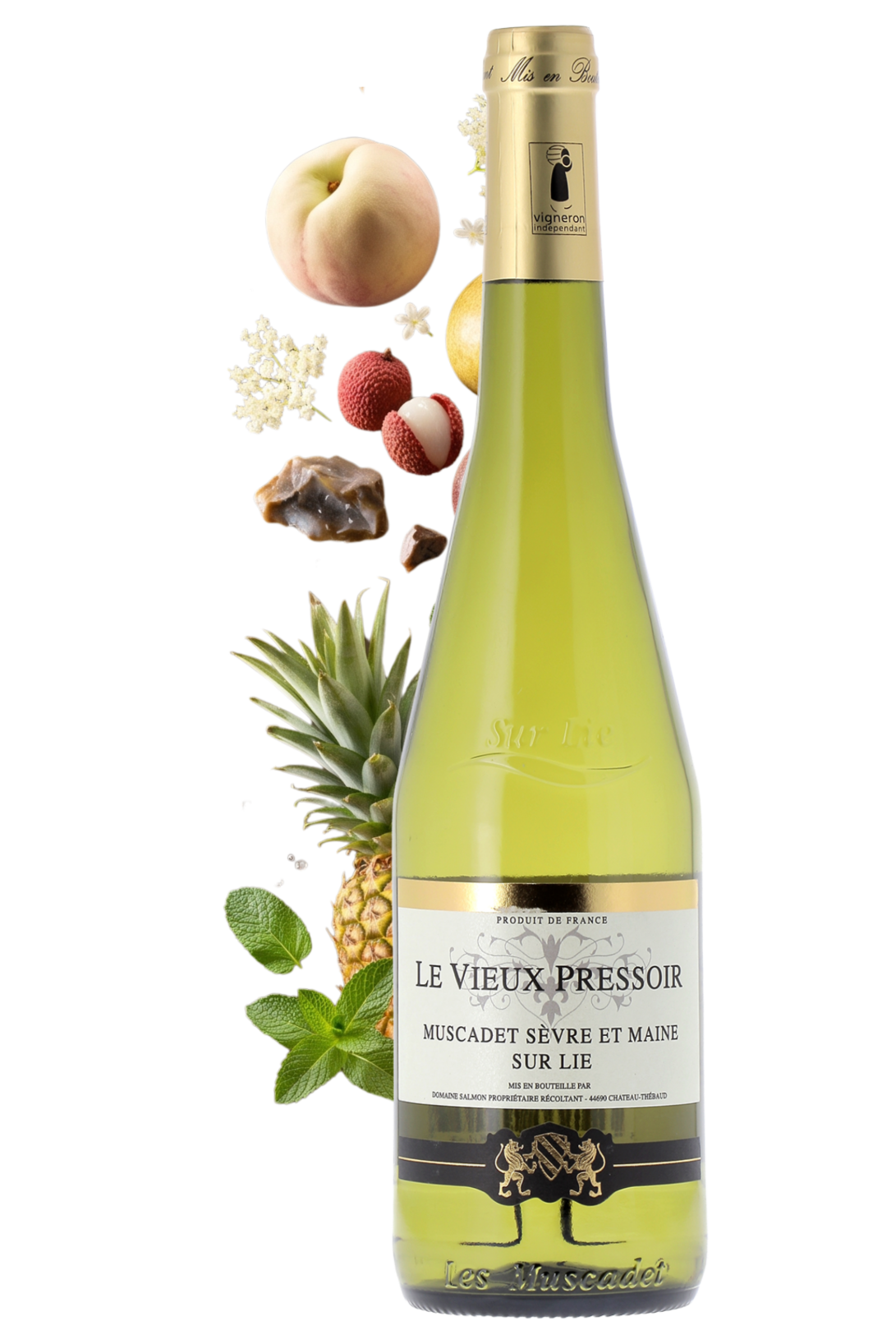 Muscadet Sèvre et Maine sur Lie Le Vieux Pressoir Domaine Salmon 2025 - frontbs