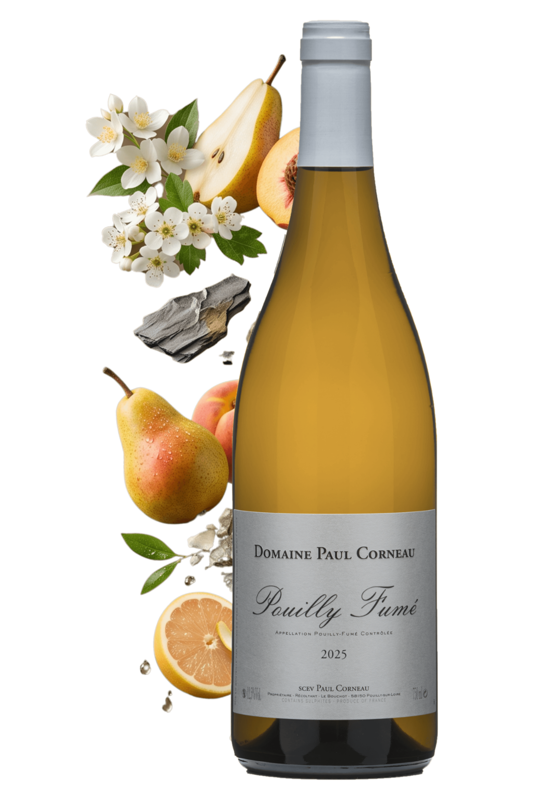 Pouilly-Fumé Le Bouchot Domaine Paul Corneau 2025 - frontbs