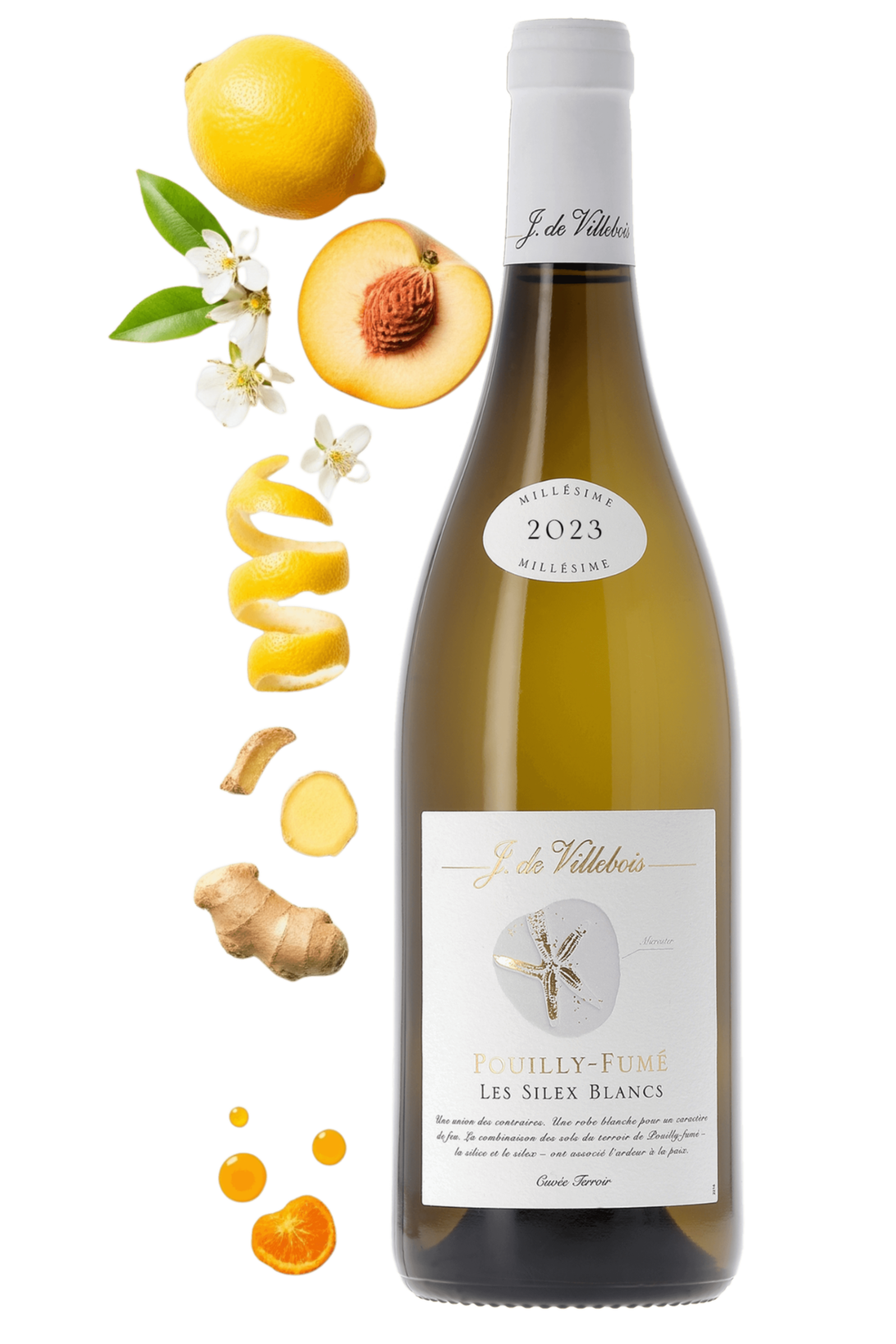 Pouilly-Fumé Les Silex Blancs J. de Villebois 2023 - frontbs
