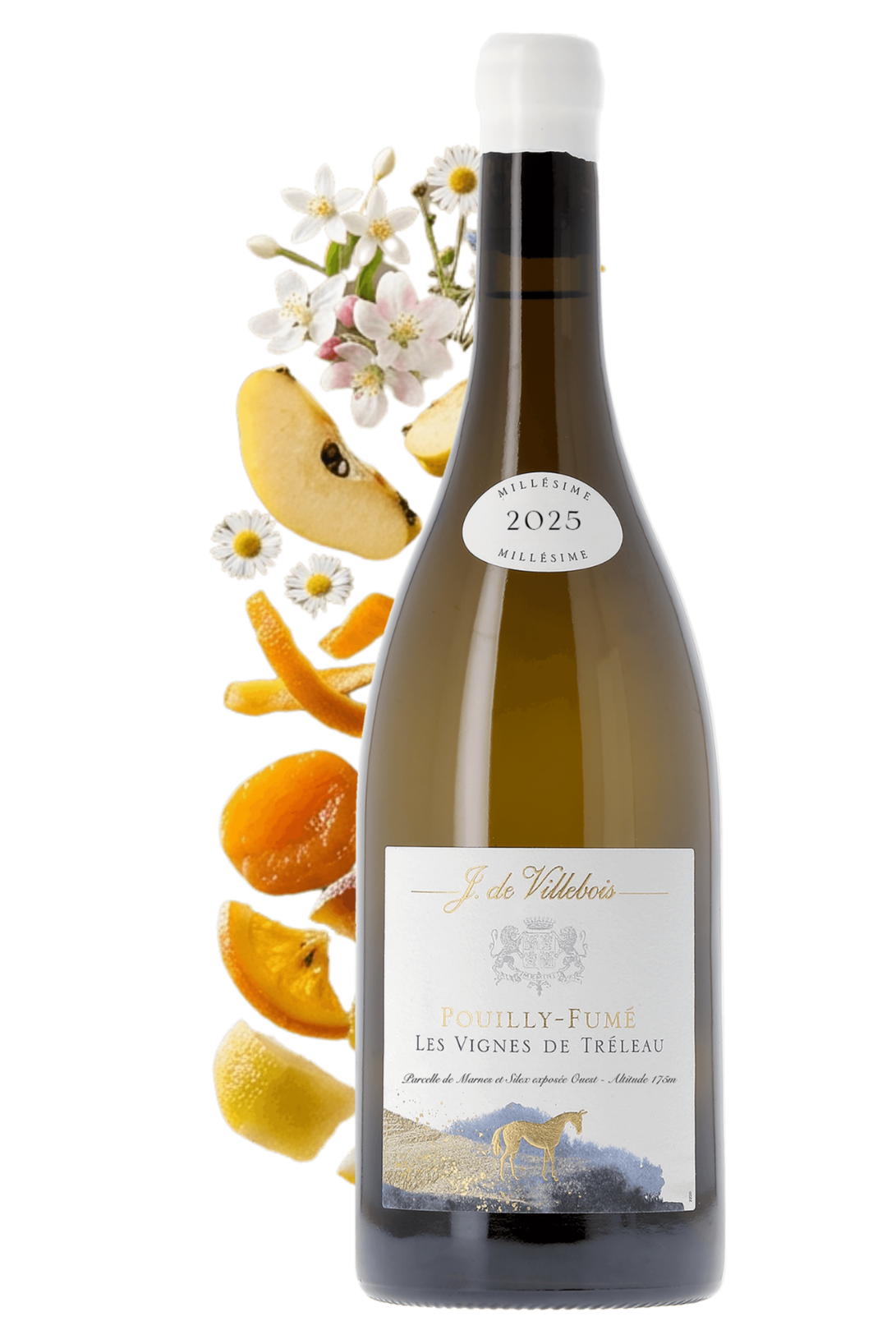 Pouilly-Fumé Vignes de Tréleau J. de Villebois 2025 - frontbs