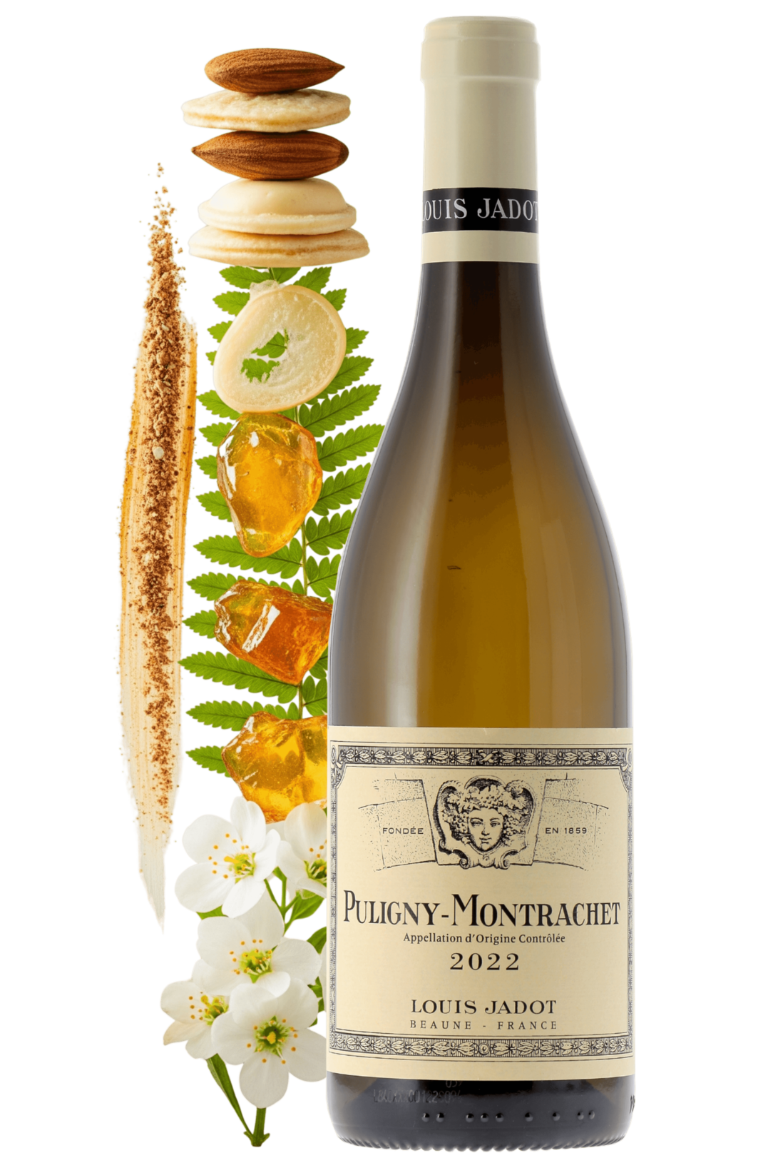 Puligny-Montrachet Louis Jadot 2022 - frontbs