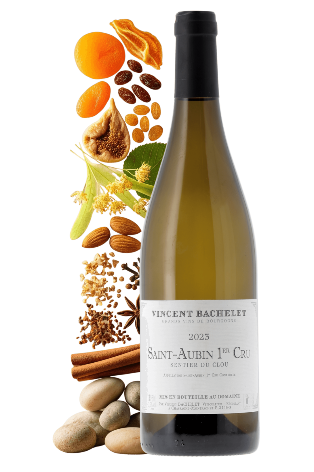 Saint-Aubin Premier Cru Sentier du Clou Domaine Vincent Bachelet 2023 - frontbs