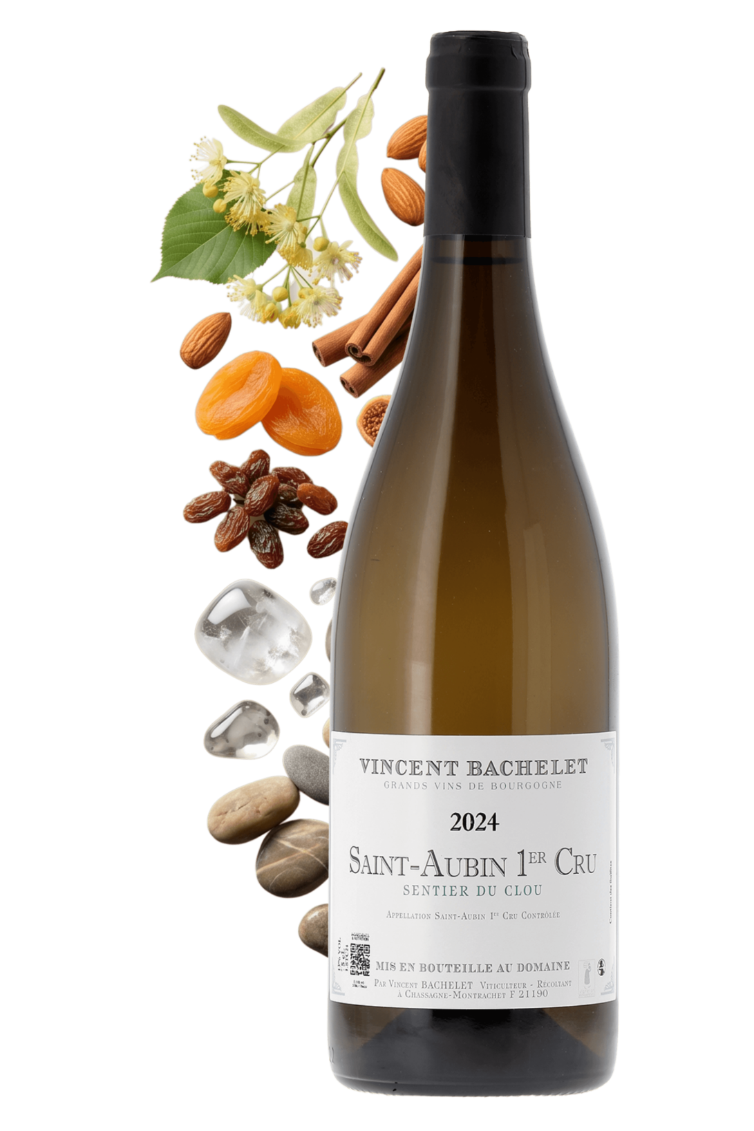 Saint-Aubin Premier Cru Sentier du Clou Domaine Vincent Bachelet 2024 - frontbs
