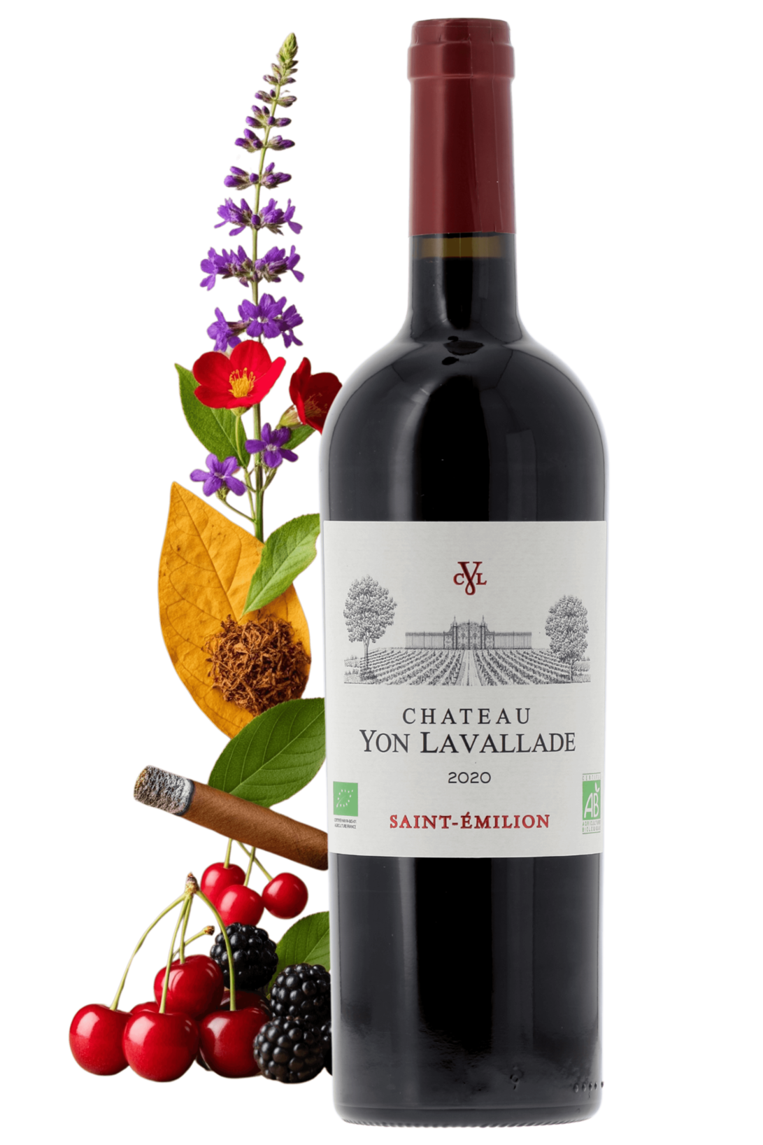 Saint-Emilion Château Yon Lavallade 2020 - frontbs