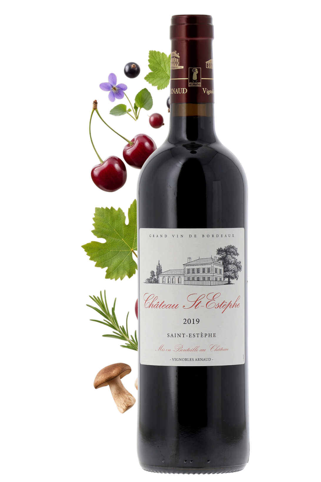 Saint-Estèphe Château Saint-Estèphe 2019 - frontbs