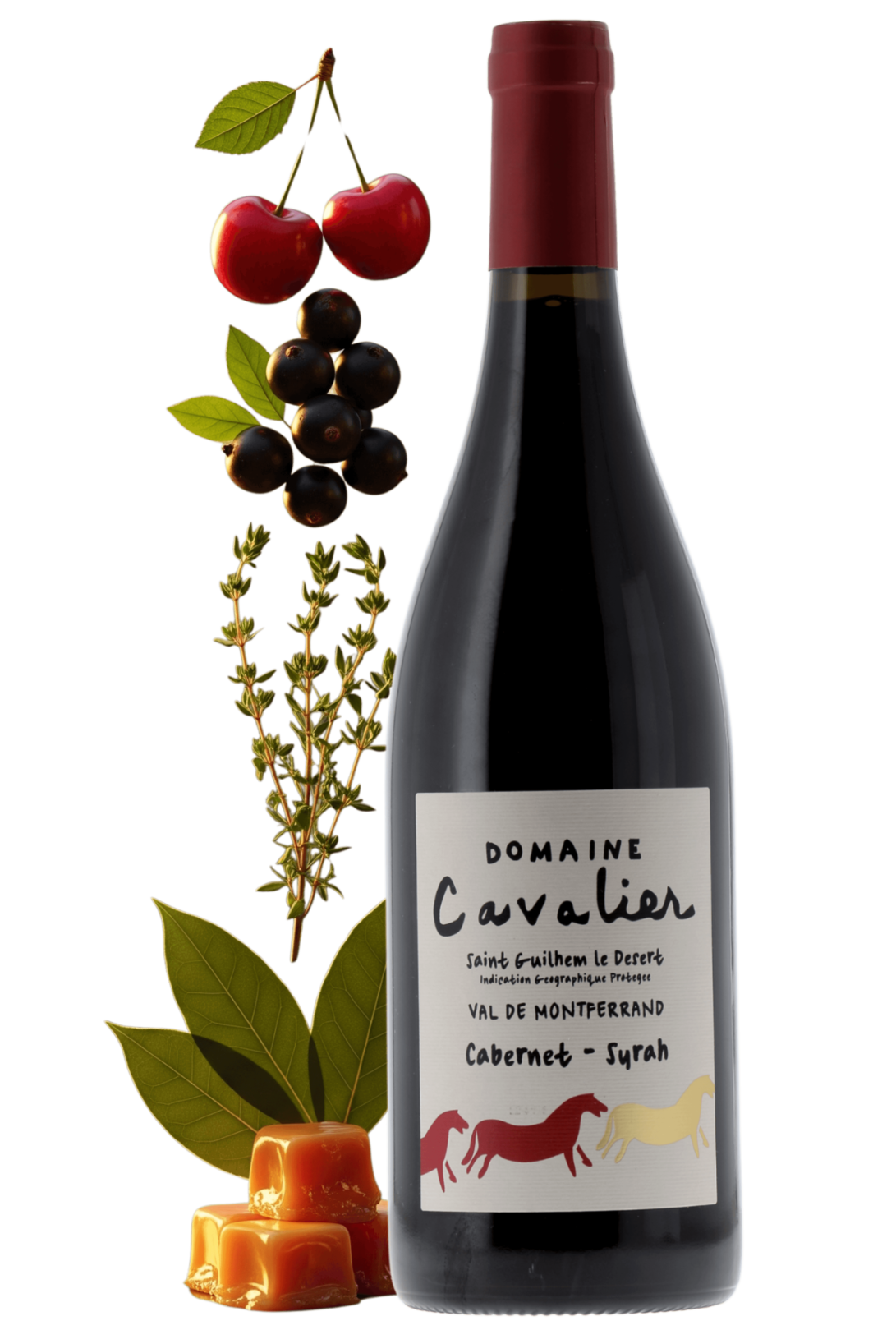 Saint-Guilhem-le-Désert Domaine Cavalier 2023 - frontbs