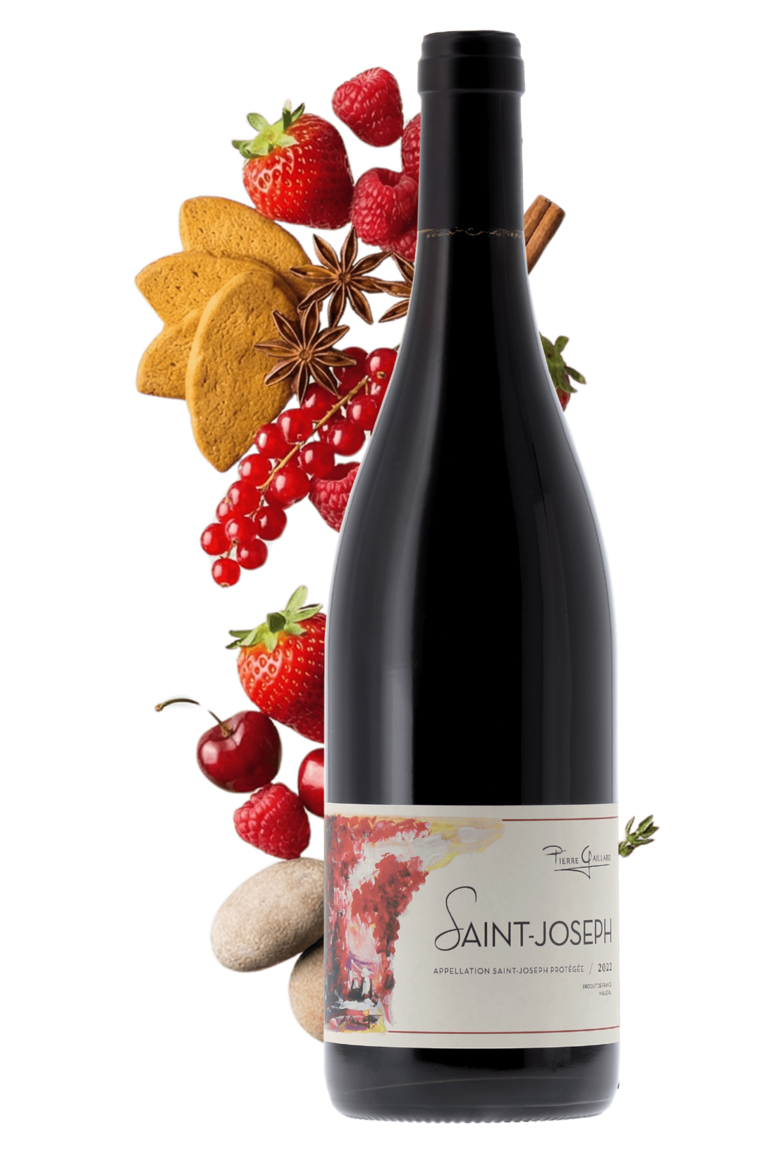 Saint-Joseph Domaine Pierre Gaillard 2022 - frontbs