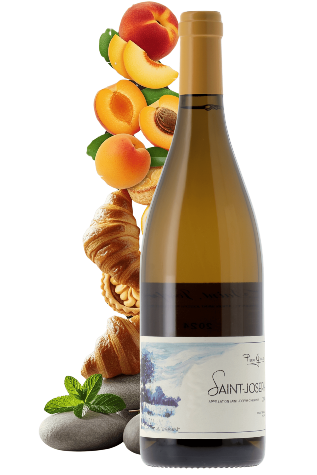 Saint-Joseph Domaine Pierre Gaillard 2024 - frontbs