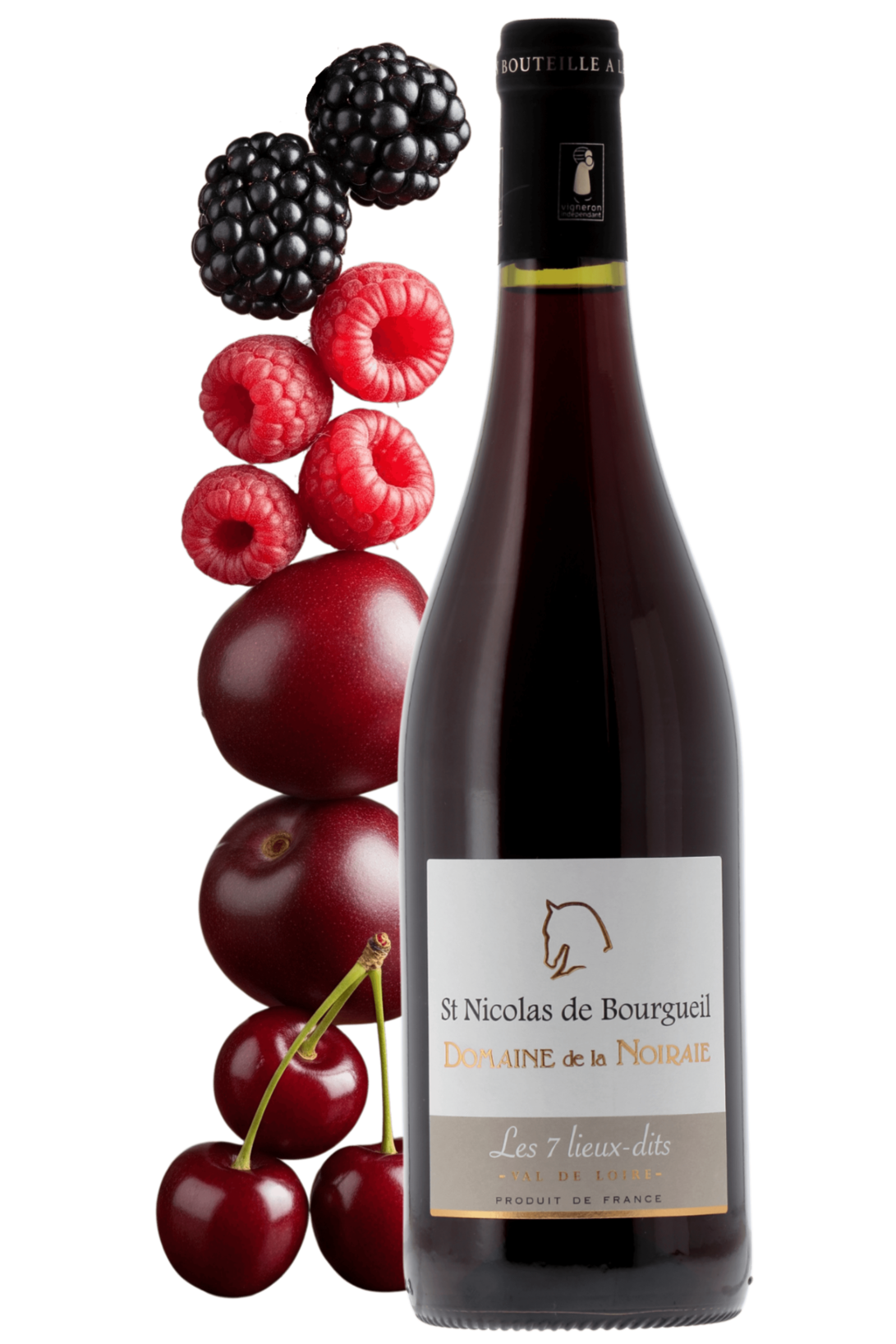 Saint-Nicolas-de-Bourgueil Les 7 Lieux-dits Domaine de la Noiraie 2024 - frontbs