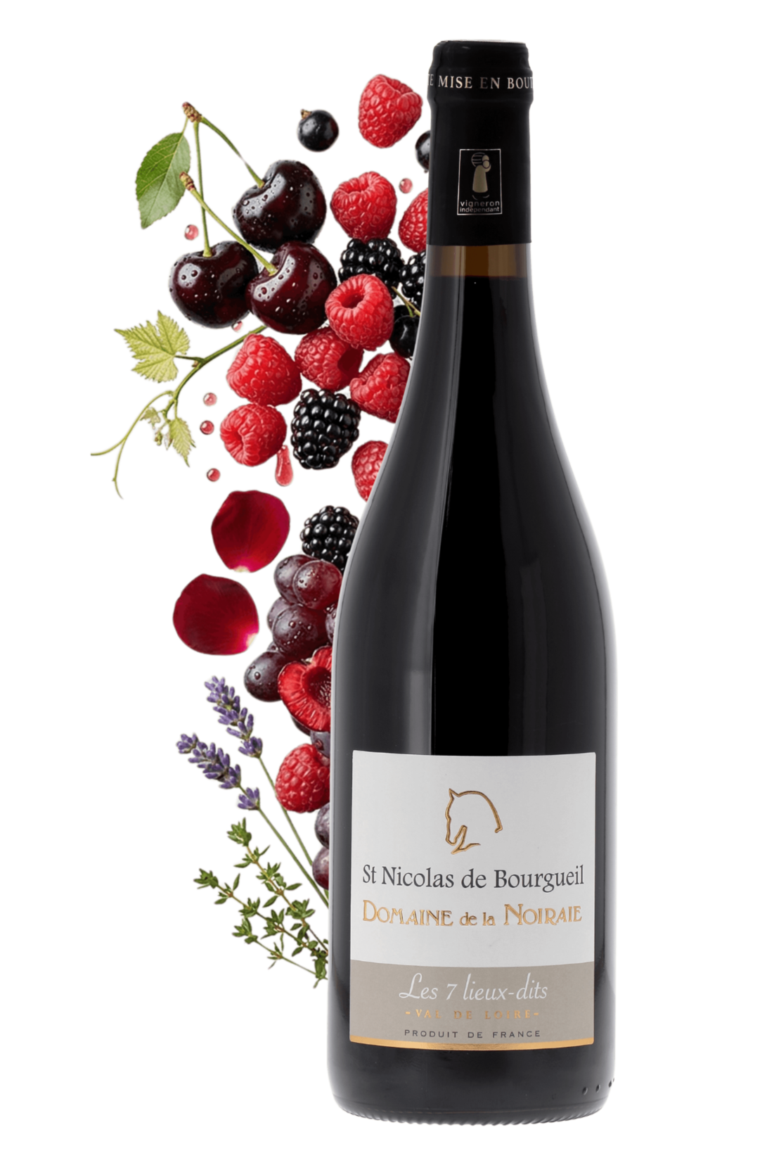 Saint-Nicolas-de-Bourgueil Les 7 Lieux-dits Domaine de la Noiraie 2025 - frontbs