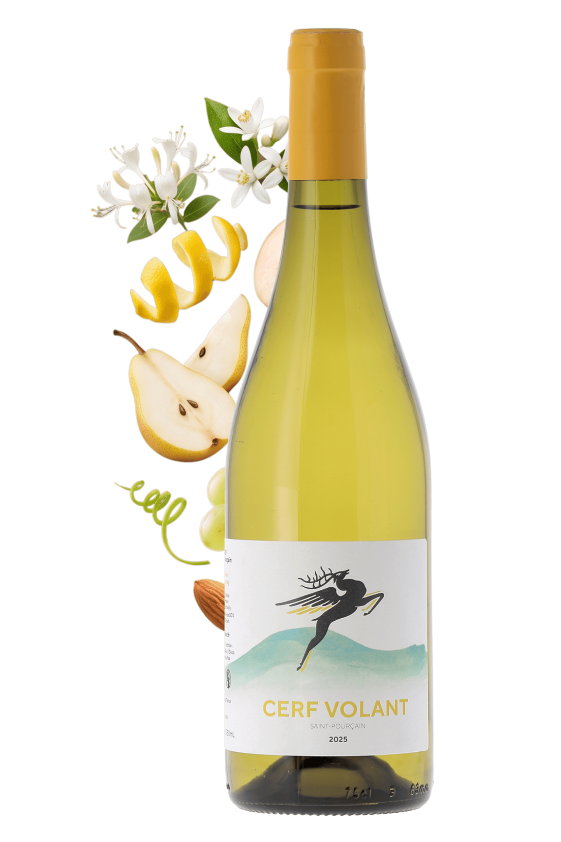 Saint-Pourçain Cerf Volant Clos de Breuilly 2025 - frontbs