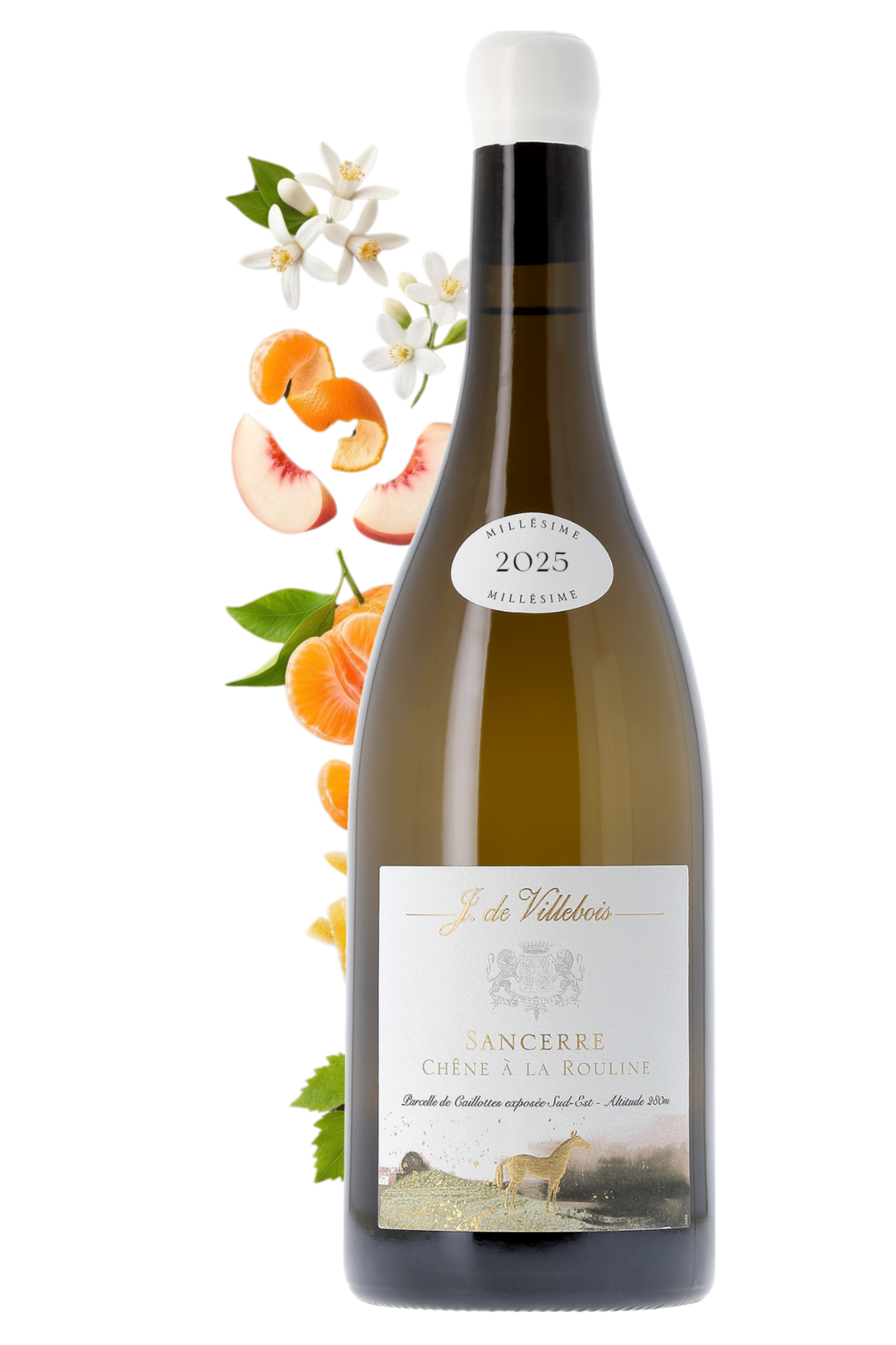 Sancerre Chêne à la Rouline J. de Villebois 2025 - frontbs