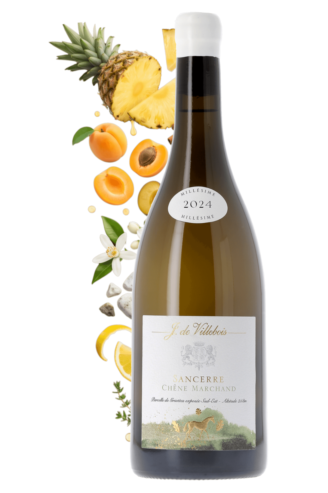 Sancerre Chêne Marchand J. de Villebois 2024 - frontbs