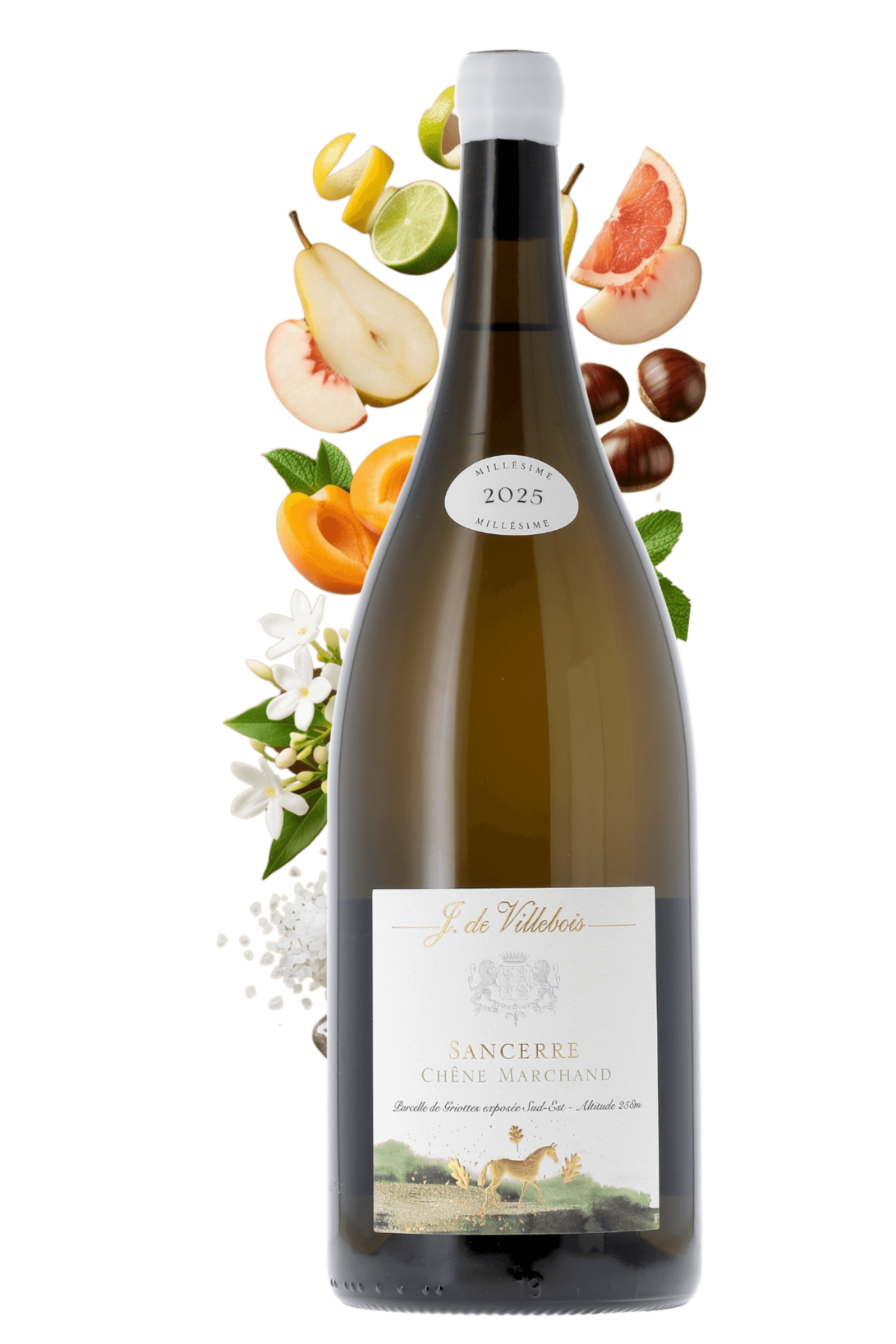Sancerre Chêne Marchand J. de Villebois 2025 150cl - frontbs