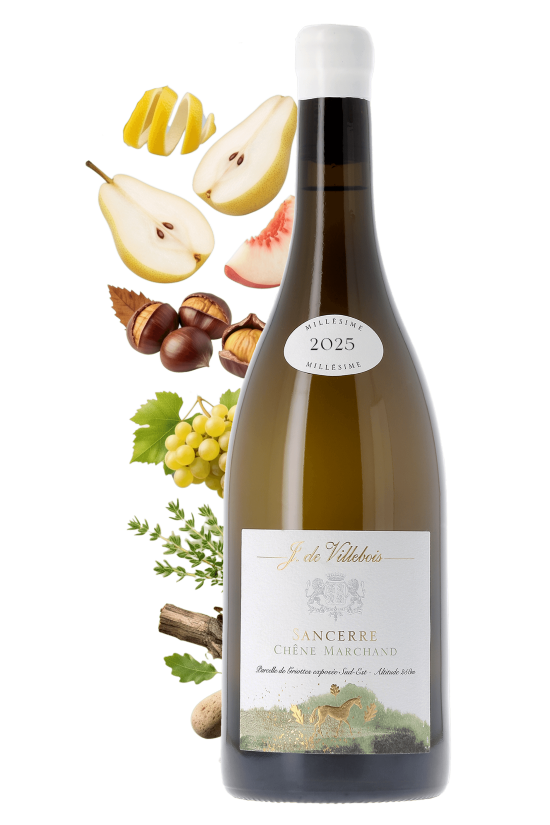 Sancerre Chêne Marchand J. de Villebois 2025 - frontbs