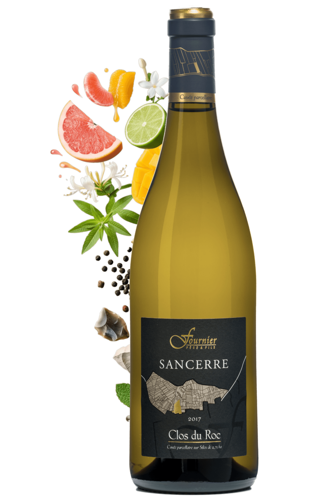 Sancerre Clos du Roc Fournier Père et Fils 2017 - frontbs
