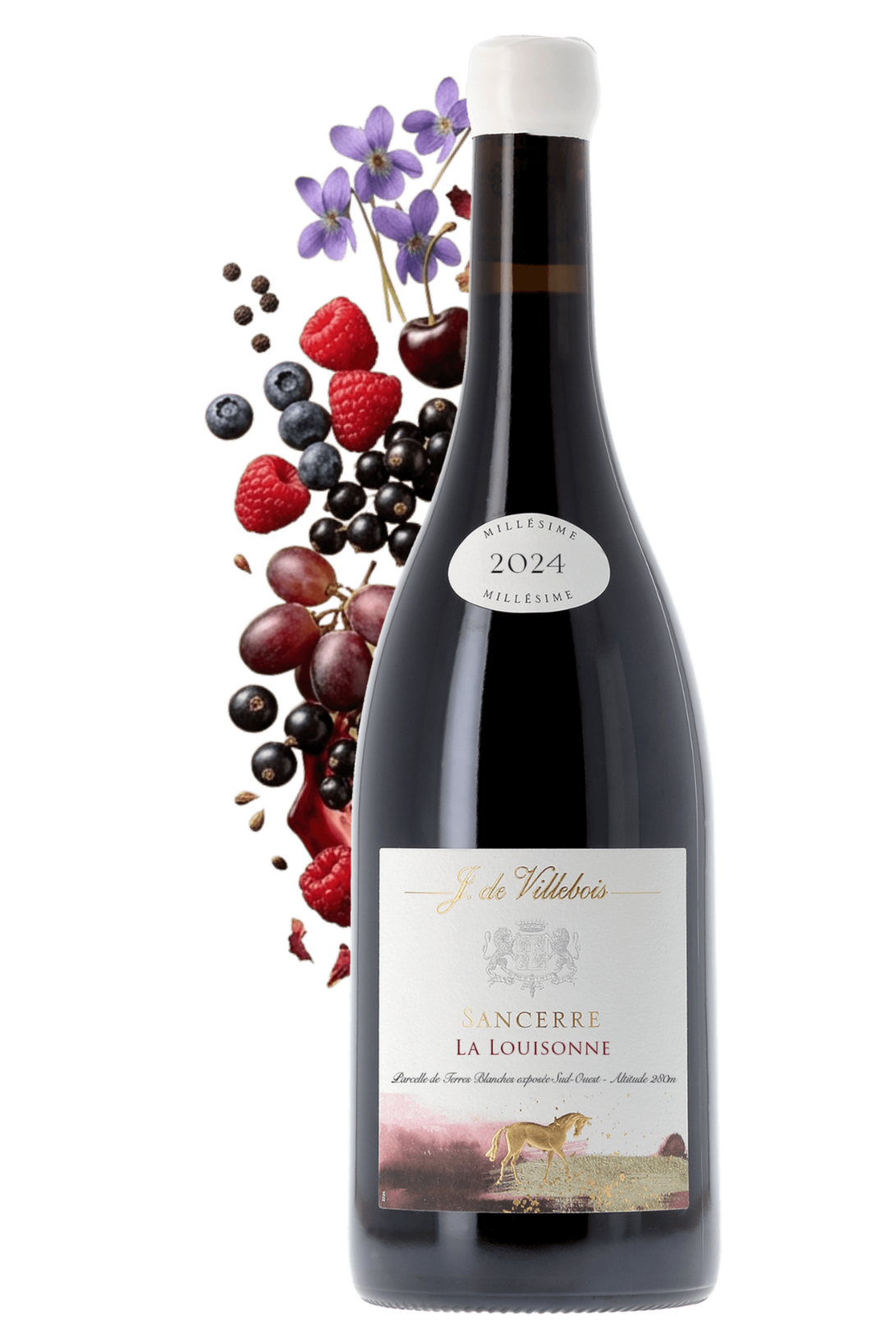 Sancerre La Louisonne J. de Villebois 2024 - frontbs