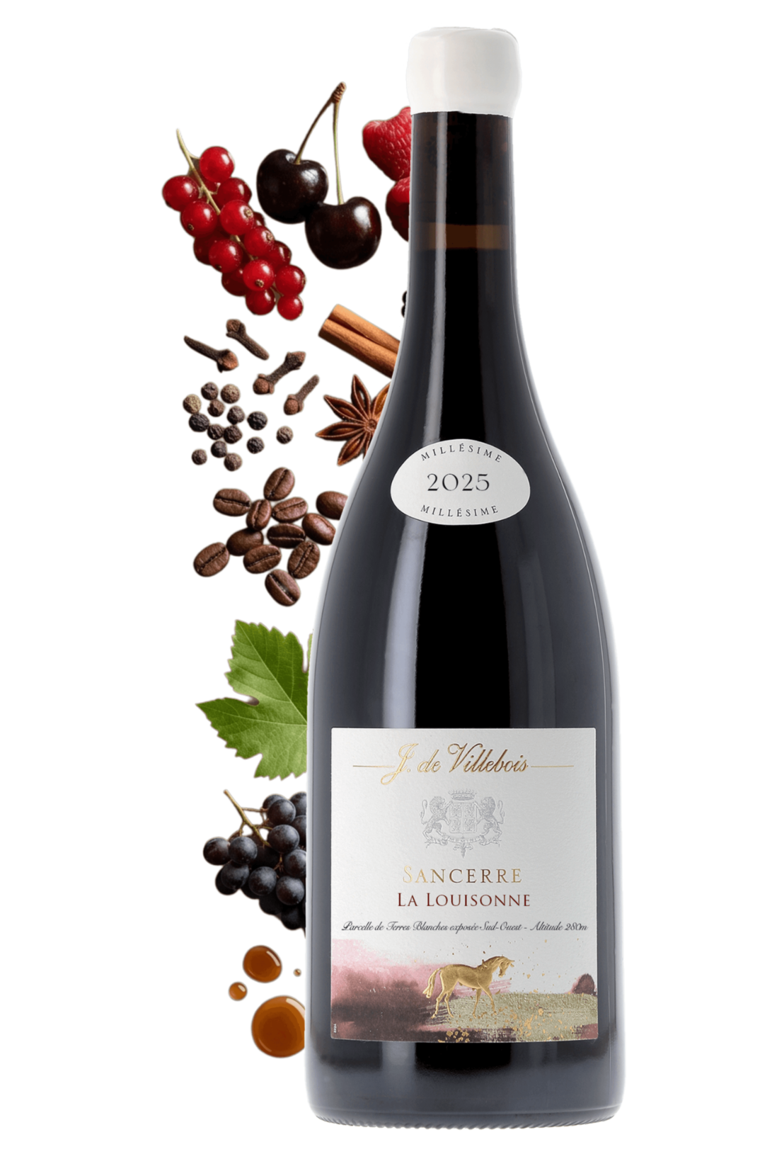 Sancerre La Louisonne J. de Villebois 2025 - frontbs