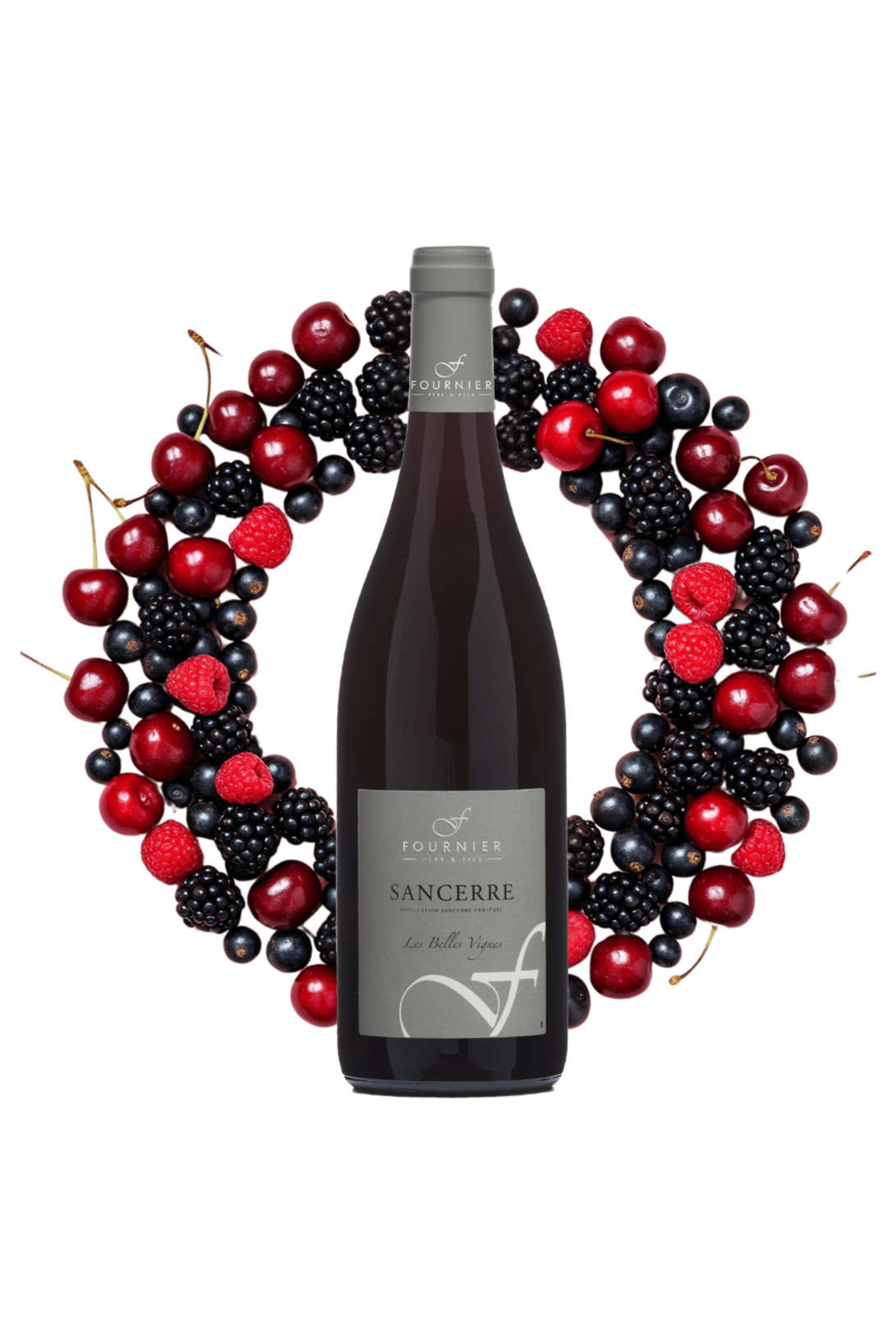 Sancerre Les Belles Vignes Fournier Père et Fils 2022 - frontbs