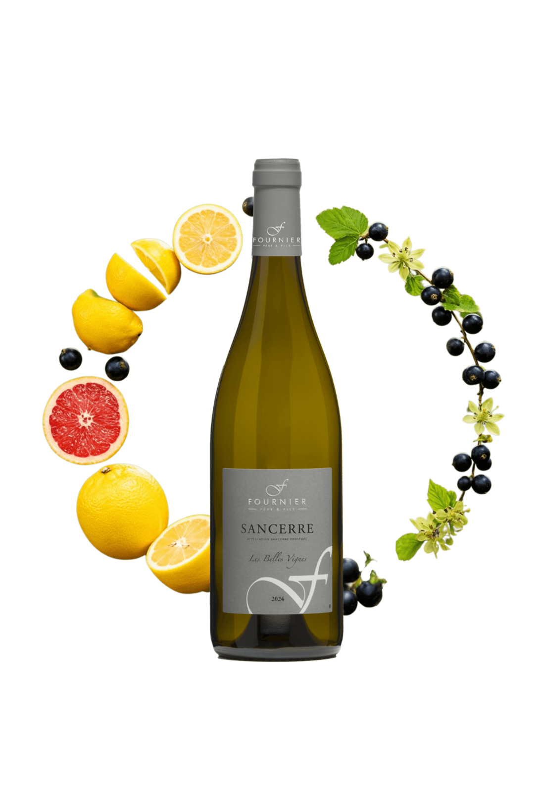 Sancerre Les Belles Vignes Fournier Père et Fils 2023 - frontbs