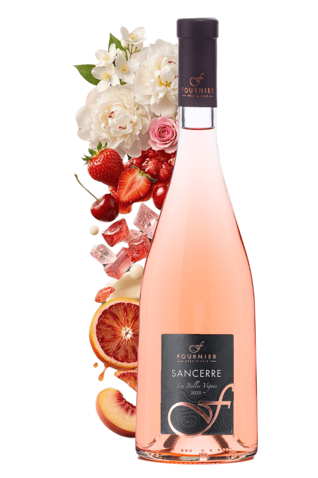 Sancerre Les Belles Vignes Fournier Père et Fils 2025 - frontbs