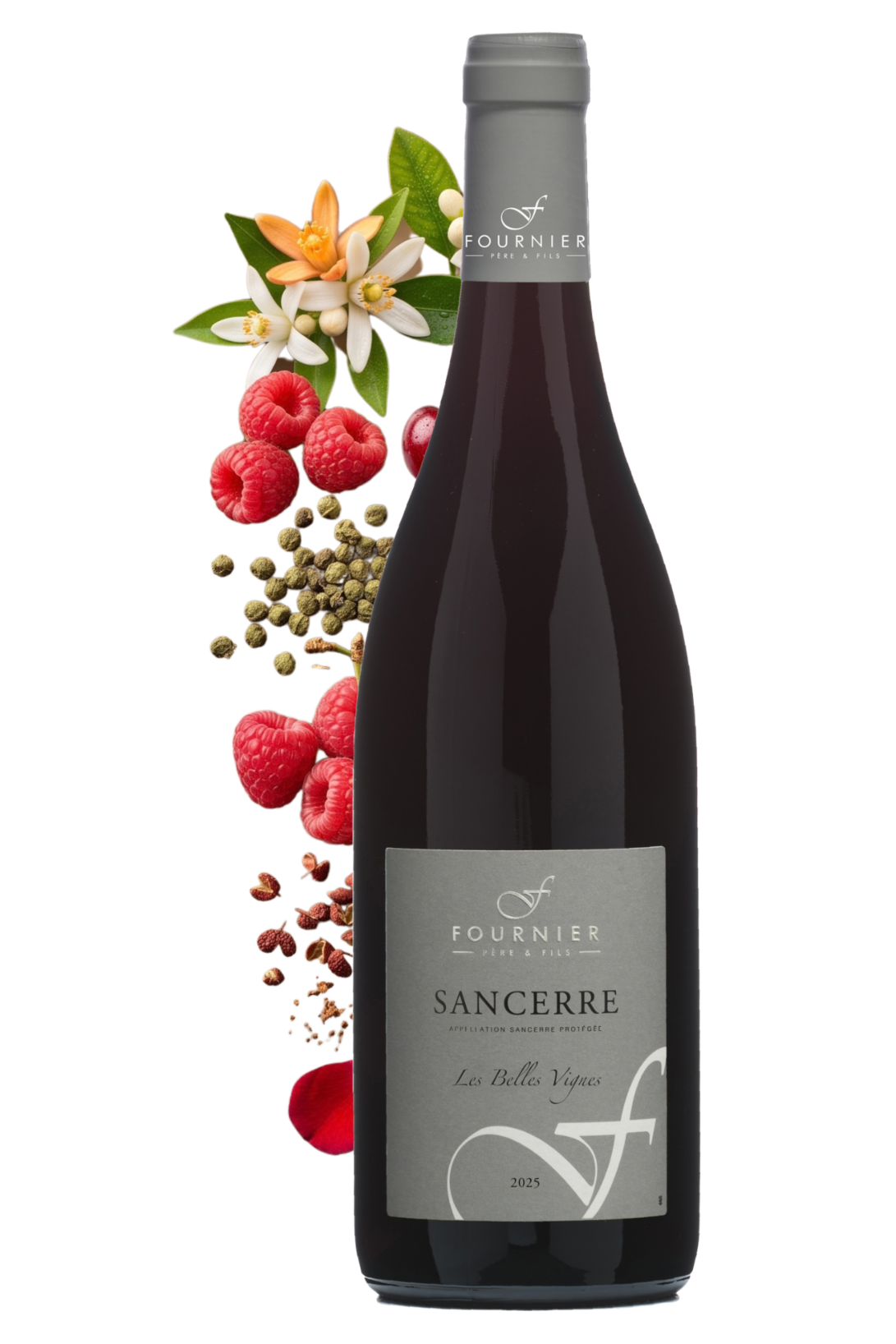 Sancerre Les Belles Vignes Fournier Père et Fils 2025 - frontbs