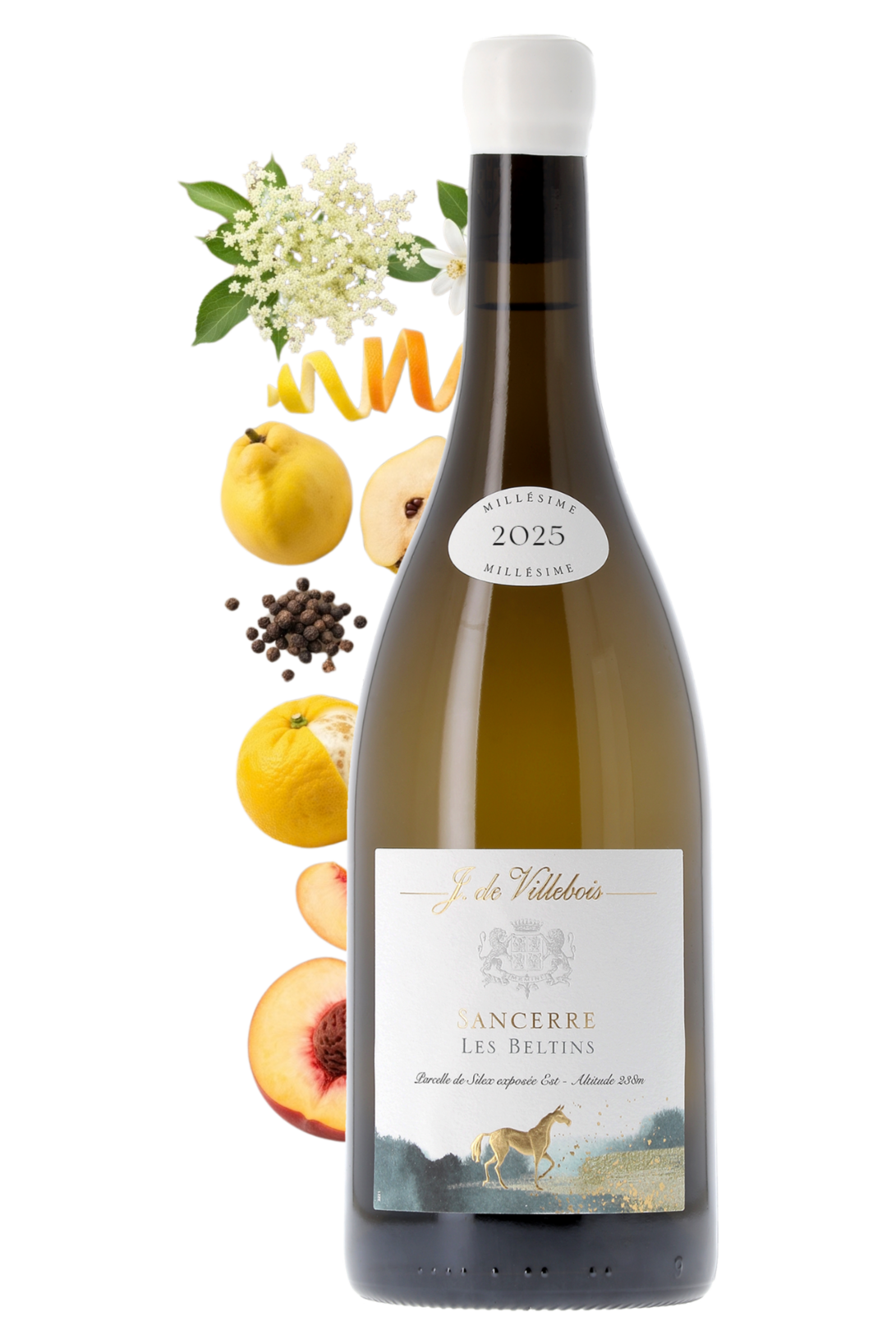 Sancerre Les Beltins J. de Villebois 2025 - frontbs