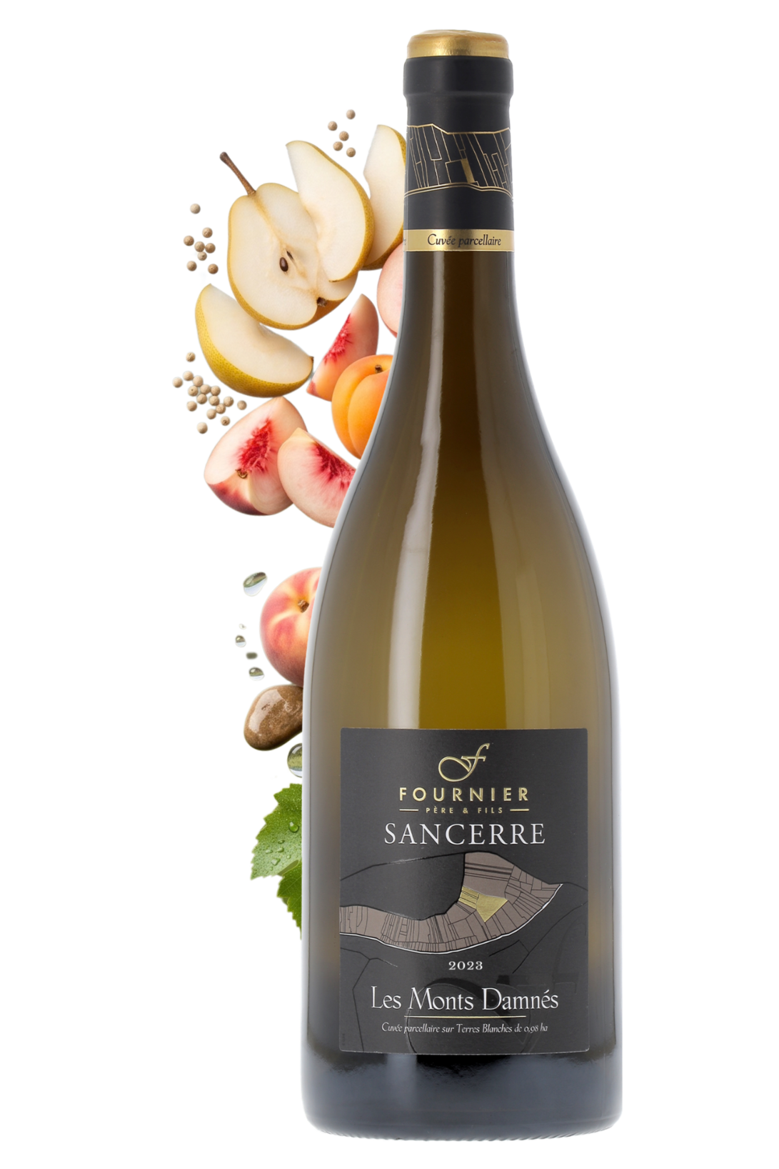 Sancerre Les Monts Damnés Fournier Père et Fils 2023 - frontbs