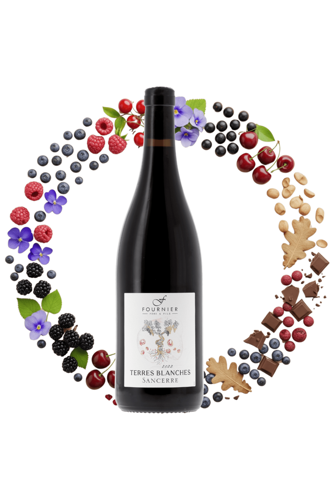 Sancerre Les Terres Blanches Fournier Père et Fils 2022 - frontbs