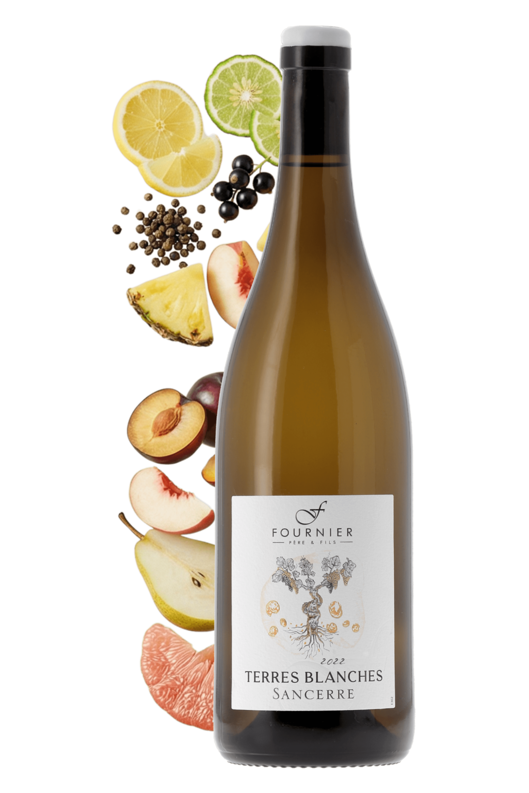 Sancerre Les Terres Blanches Fournier Père et Fils 2022 - frontbs