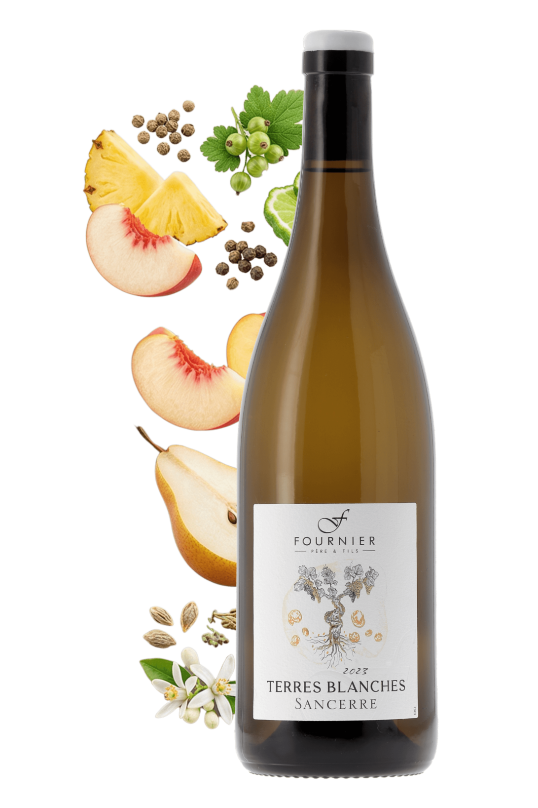 Sancerre Les Terres Blanches Fournier Père et Fils 2023 - frontbs