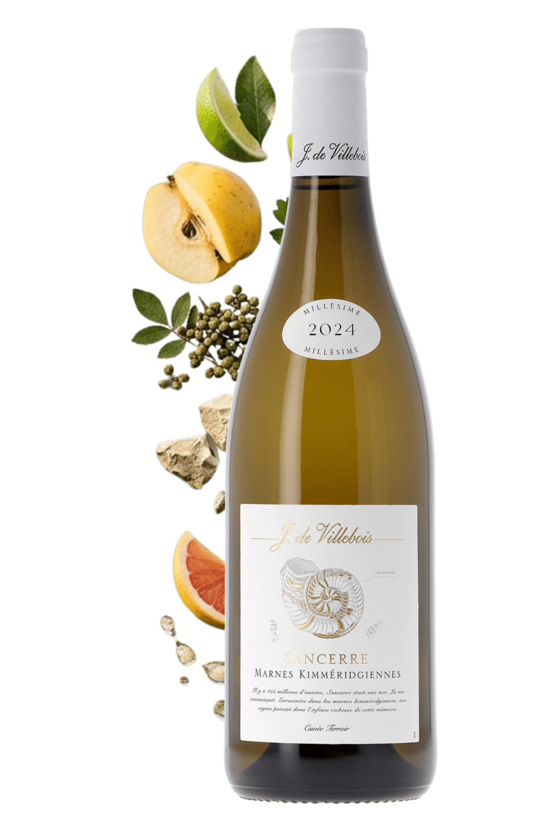 Sancerre Marnes Kimméridgiennes J. de Villebois 2024 - frontbs