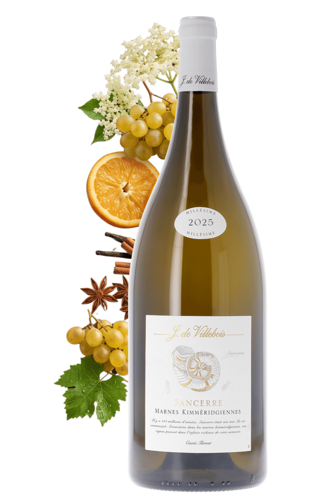 Sancerre Marnes Kimméridgiennes J. de Villebois 2025 150cl - frontbs