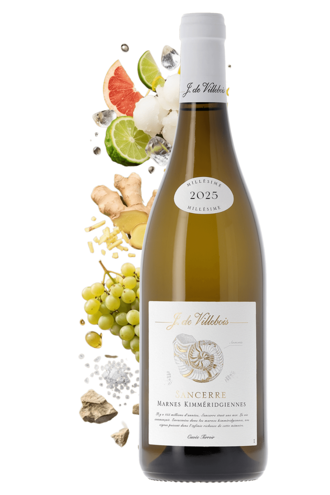 Sancerre Marnes Kimméridgiennes J. de Villebois 2025 - frontbs