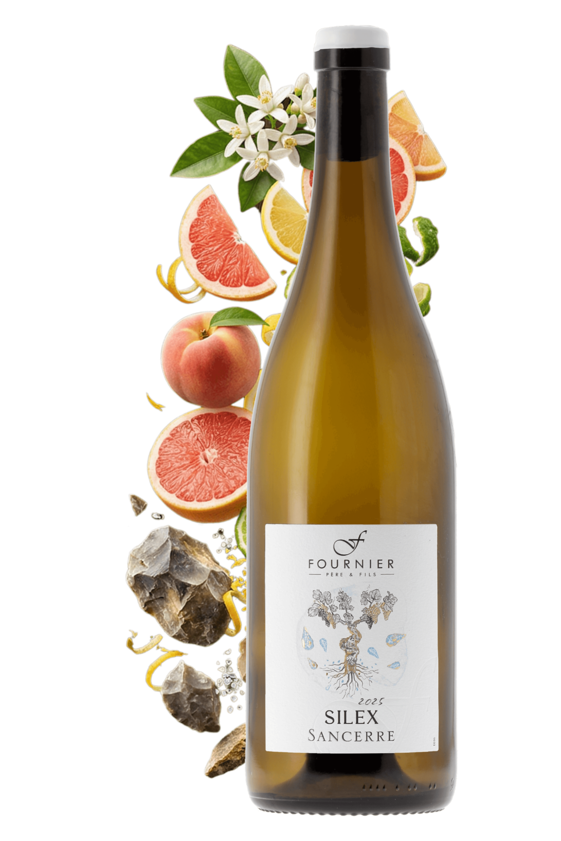 Sancerre Silex Fournier Père et Fils 2025 - frontbs