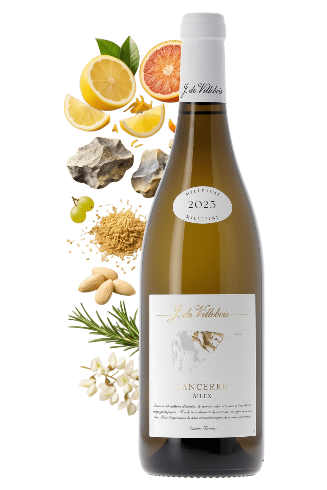 Sancerre Silex J. de Villebois 2025 - frontbs