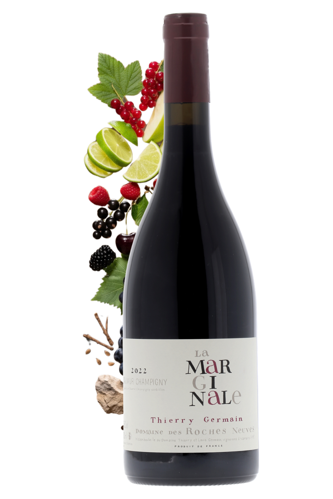 Saumur-Champigny La Marginale Domaine des Roches Neuves 2022 - frontbs