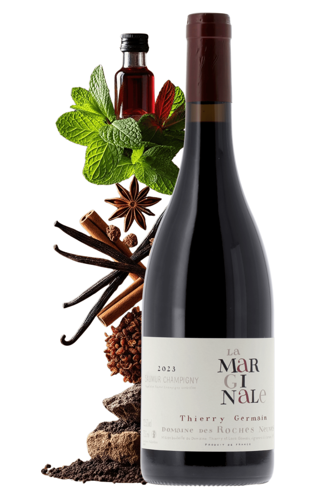 Saumur-Champigny La Marginale Domaine des Roches Neuves 2023 - frontbs