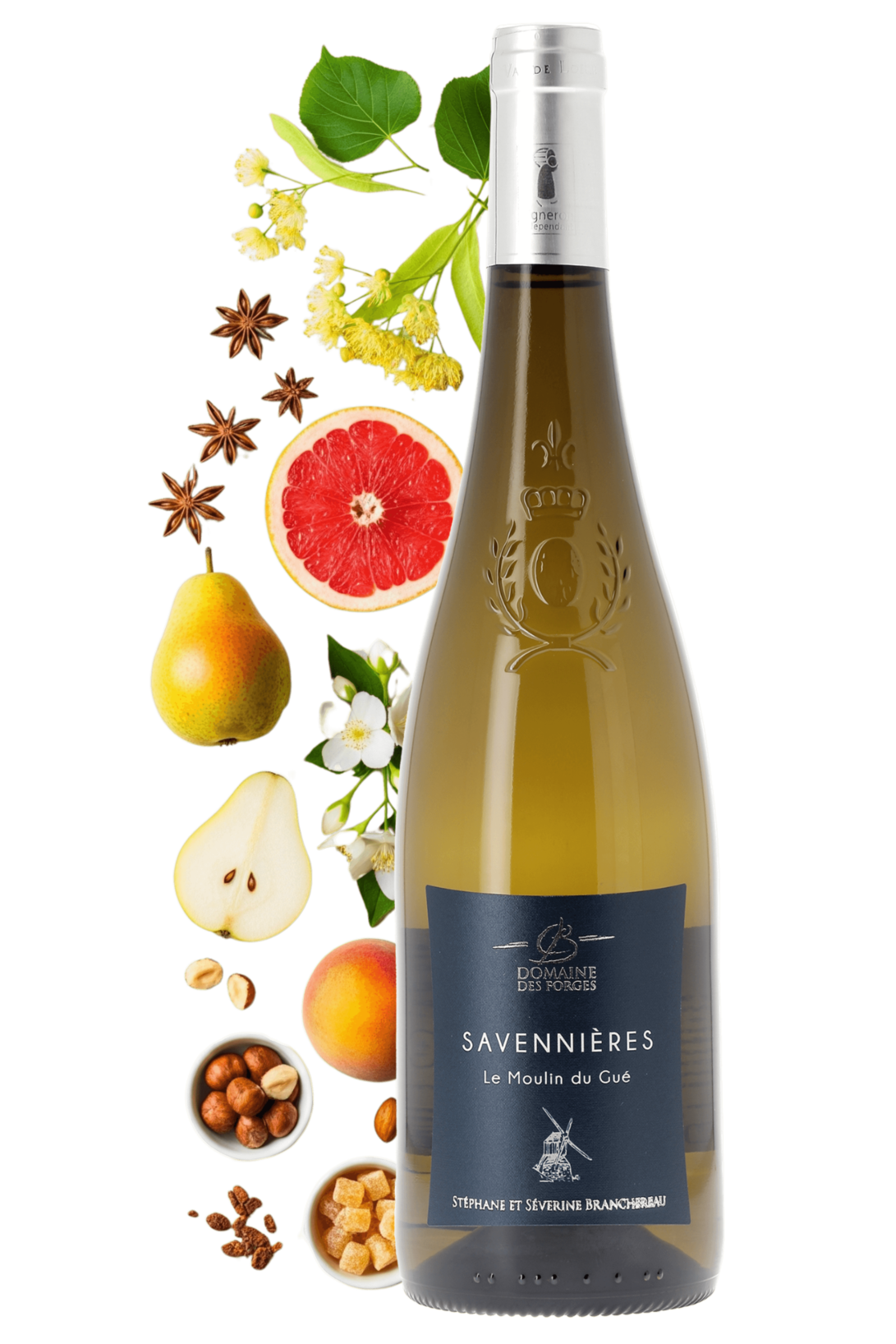 Savennières Le Moulin du Gué Domaine des Forges 2022 - frontbs