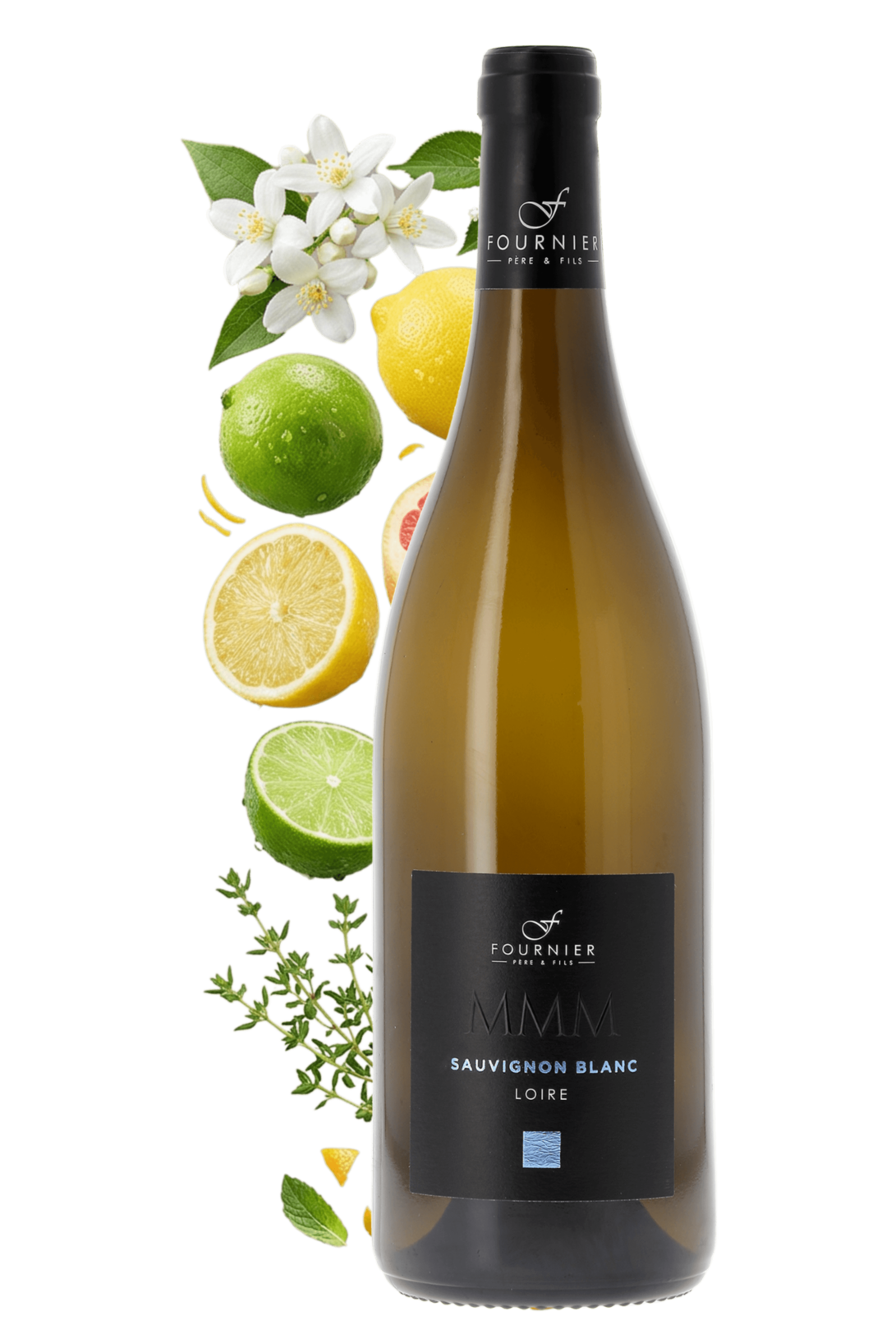 Val de Loire MMM Sauvignon Blanc Fournier Père et Fils 2025 - frontbs