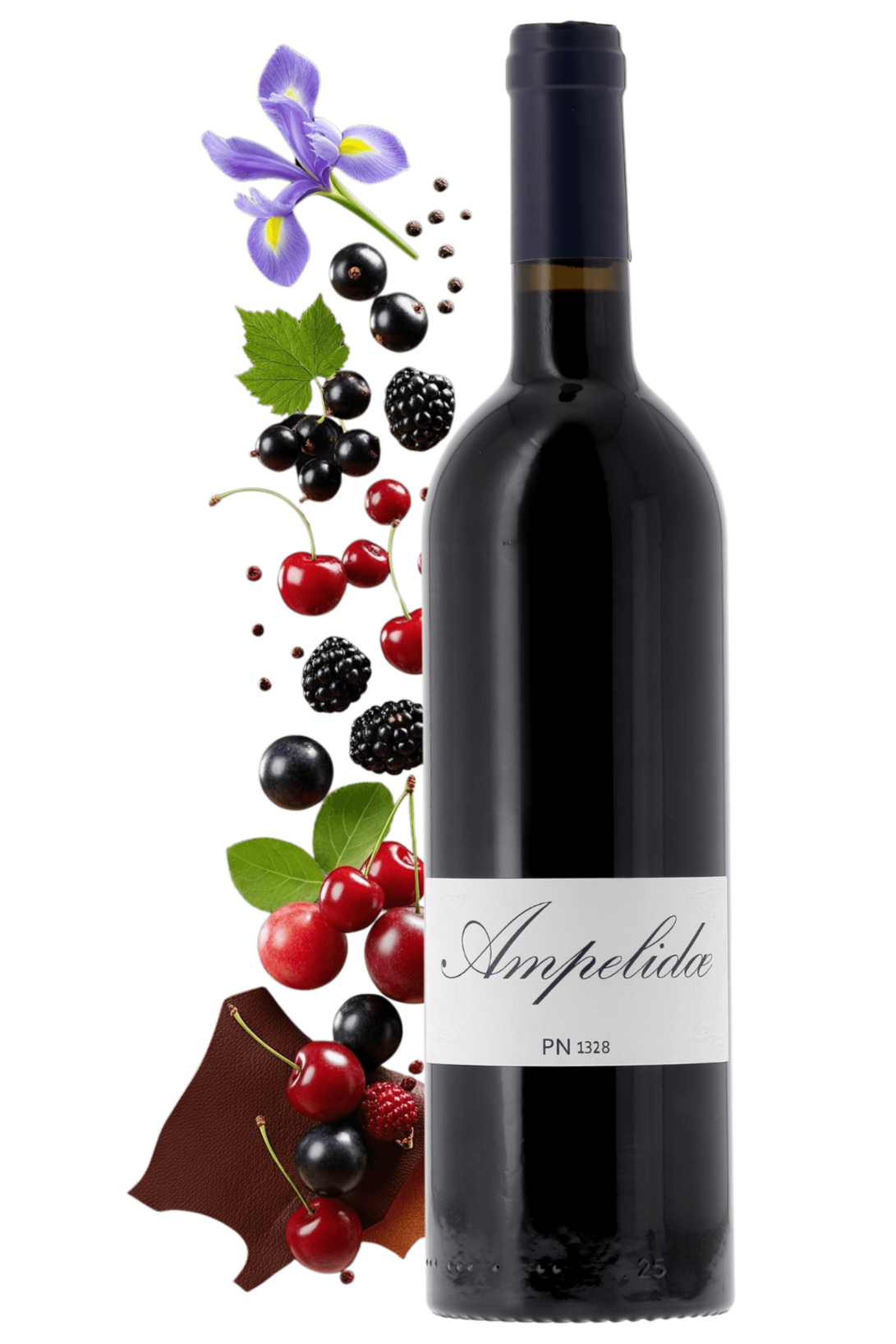 Val de Loire PN 1328 AMPELIDAE - frontbs