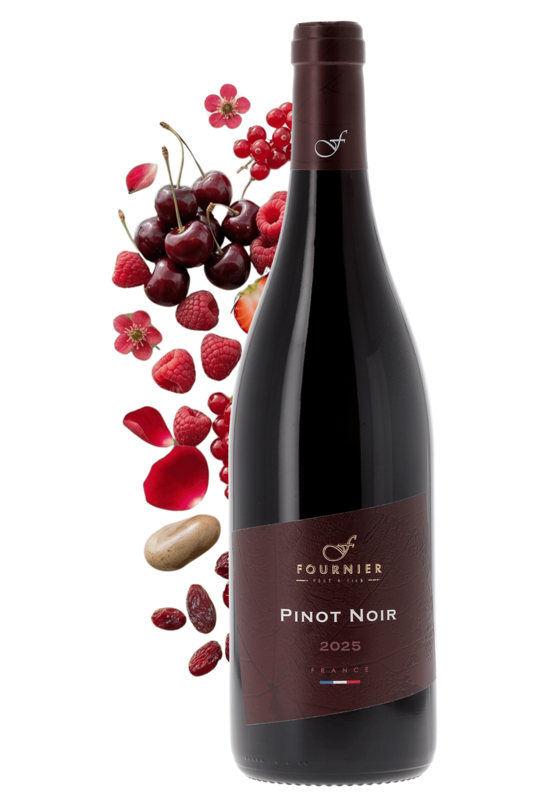 Vin de France F Pinot Noir Fournier Père et Fils 2025 - frontbs