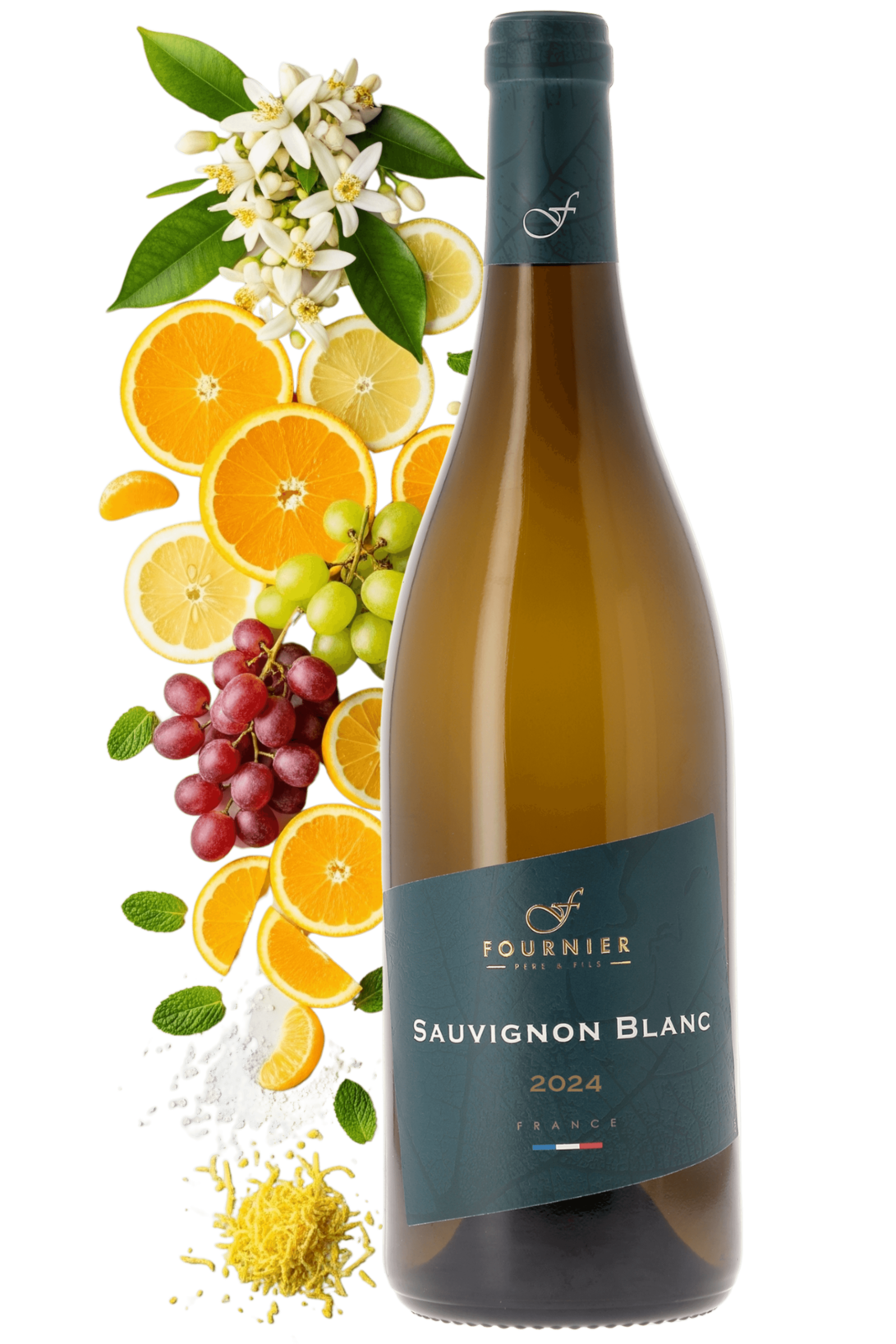 Vin de France F Fournier Père et Fils 2024 - frontbs