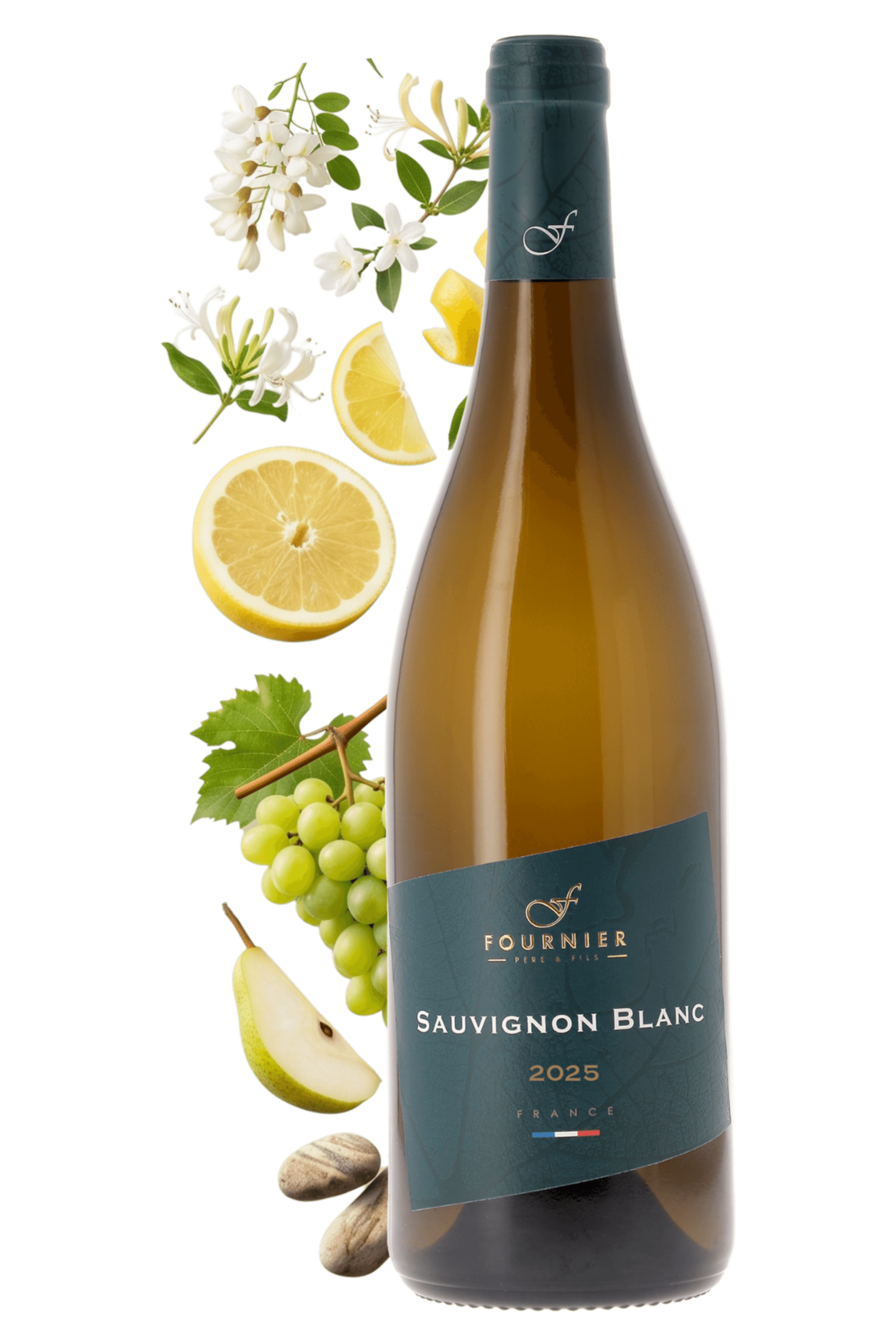Vin de France F Sauvignon Blanc Fournier Père et Fils 2025 - frontbs