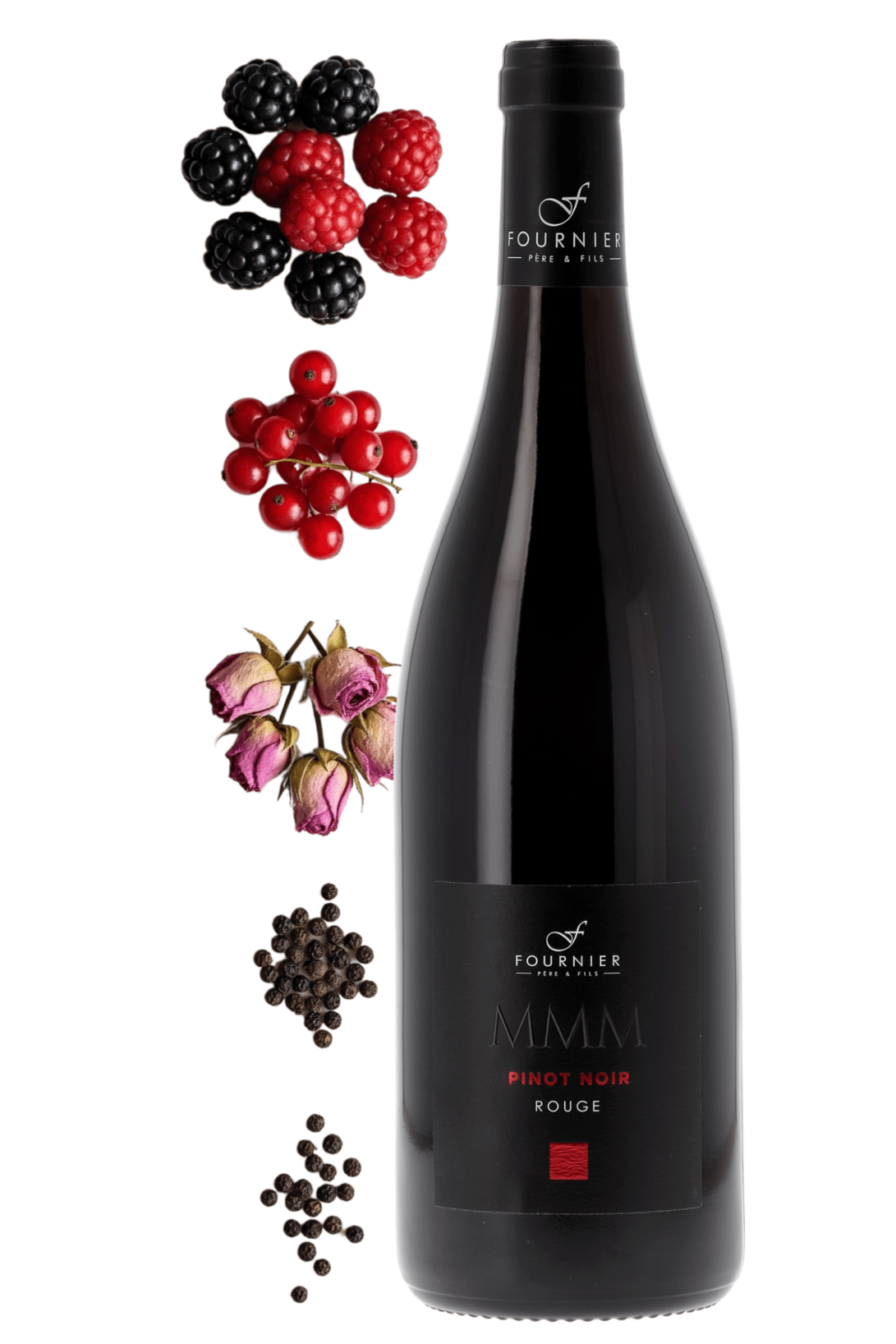 Vin de France MMM Pinot noir Fournier Père et Fils 2024 - frontbs
