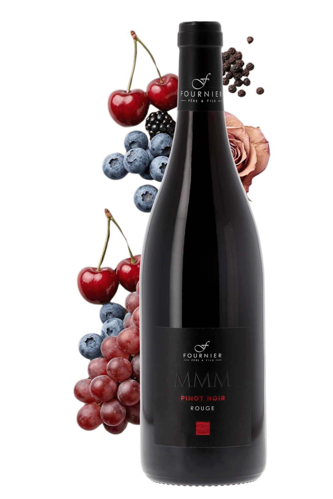 Vin de France MMM Pinot noir Fournier Père et Fils 2025 - frontbs