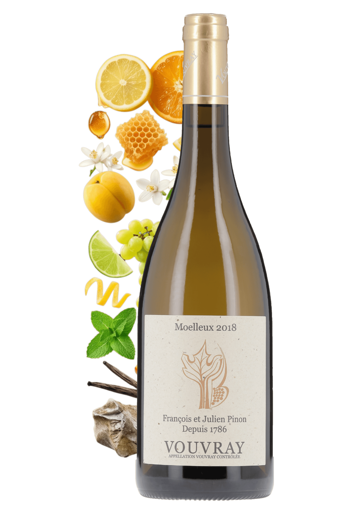 Vouvray Moelleux Domaine François & Julien Pinon 2018 - frontbs