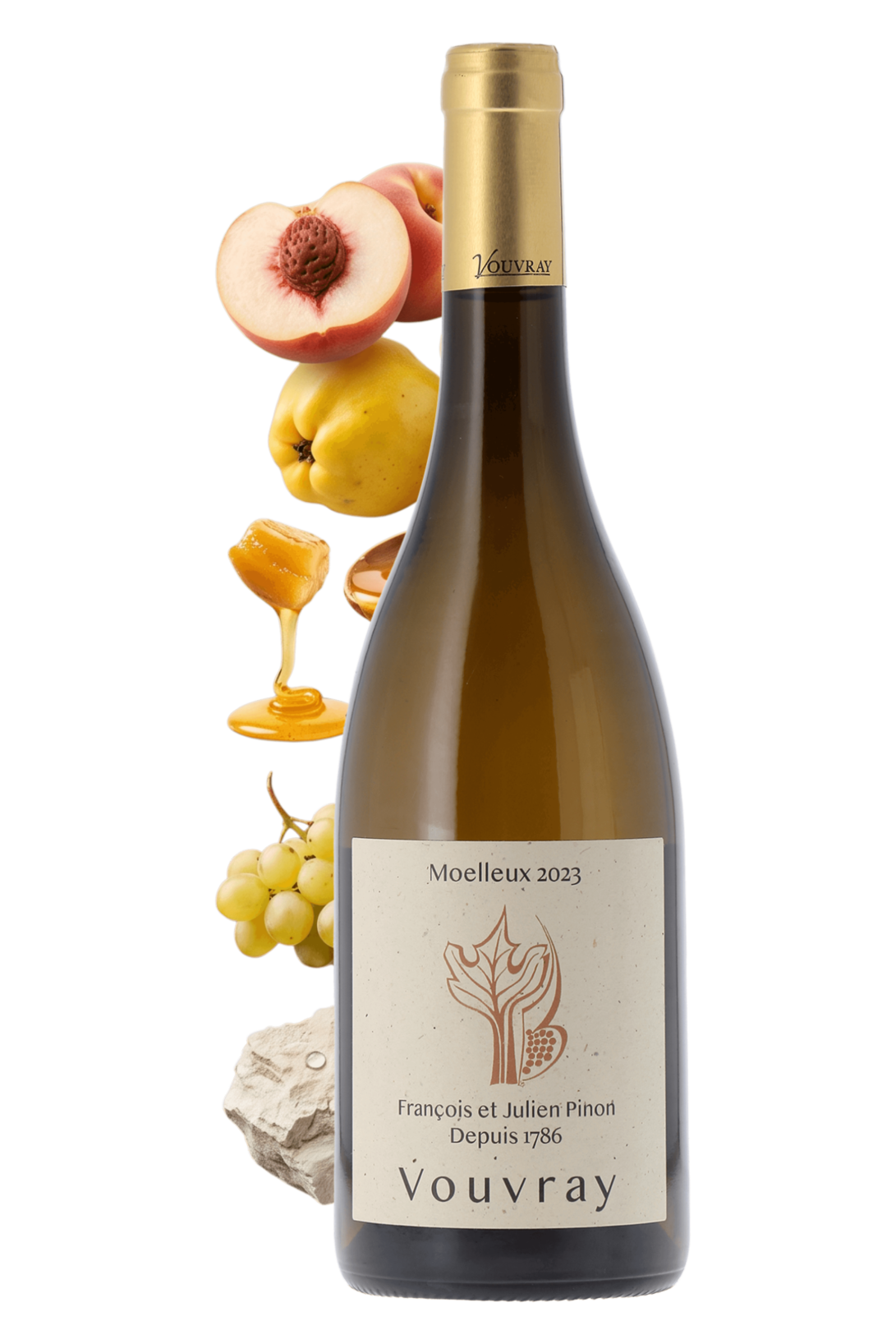 Vouvray Moelleux Domaine François & Julien Pinon 2023 - frontbs