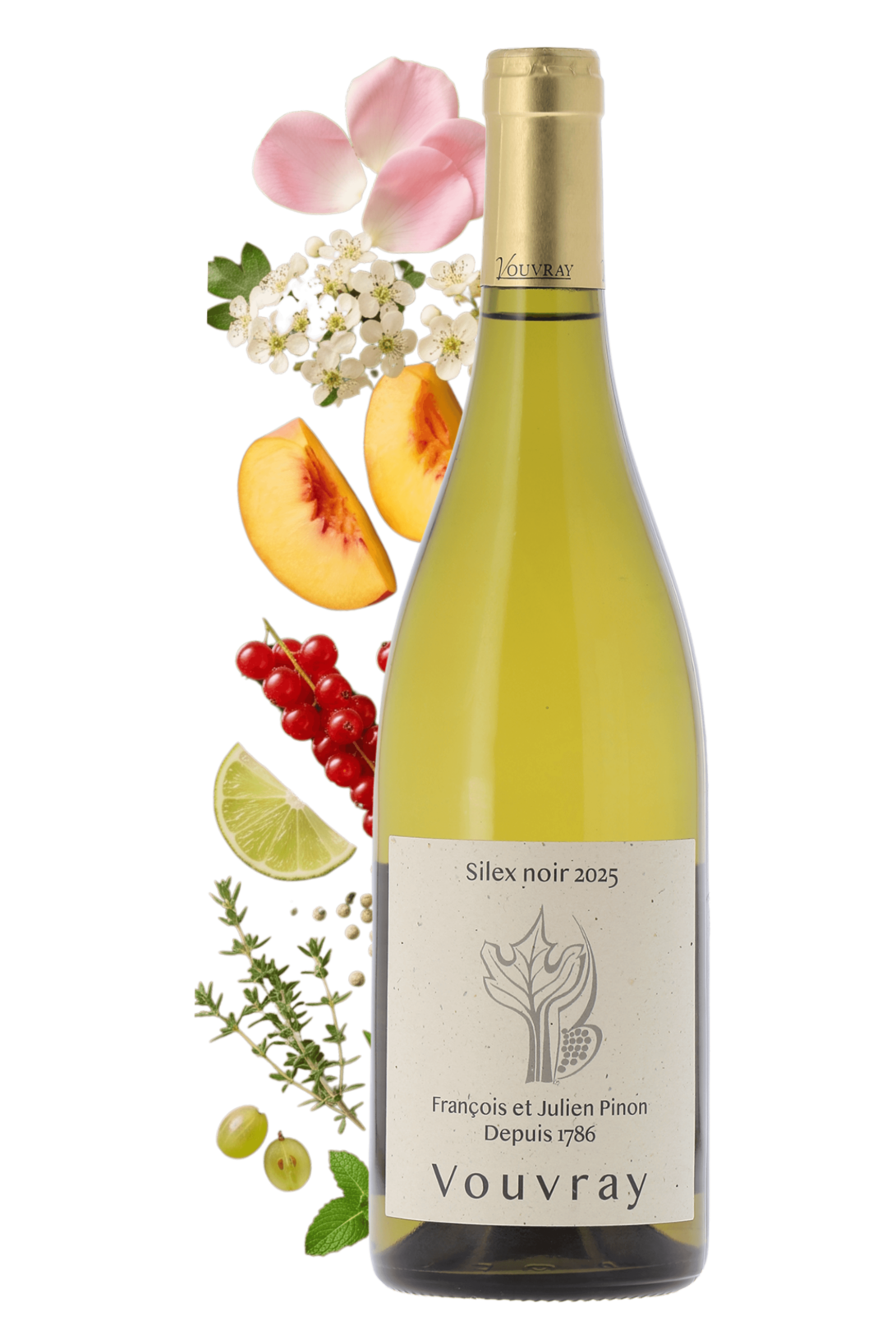 Vouvray Silex Noir Domaine François & Julien Pinon 2025 - frontbs